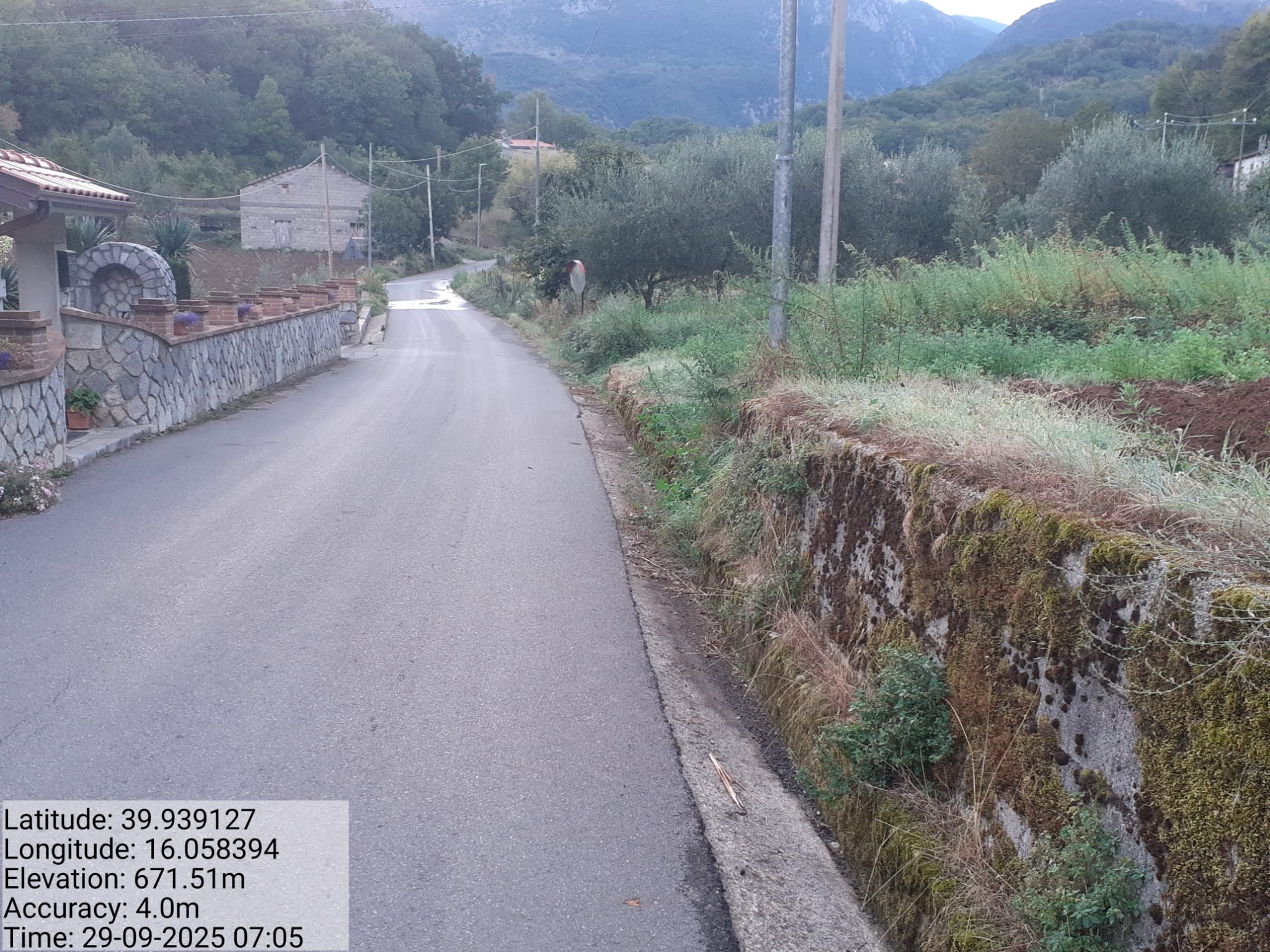 Galleria Fotografica Immagine