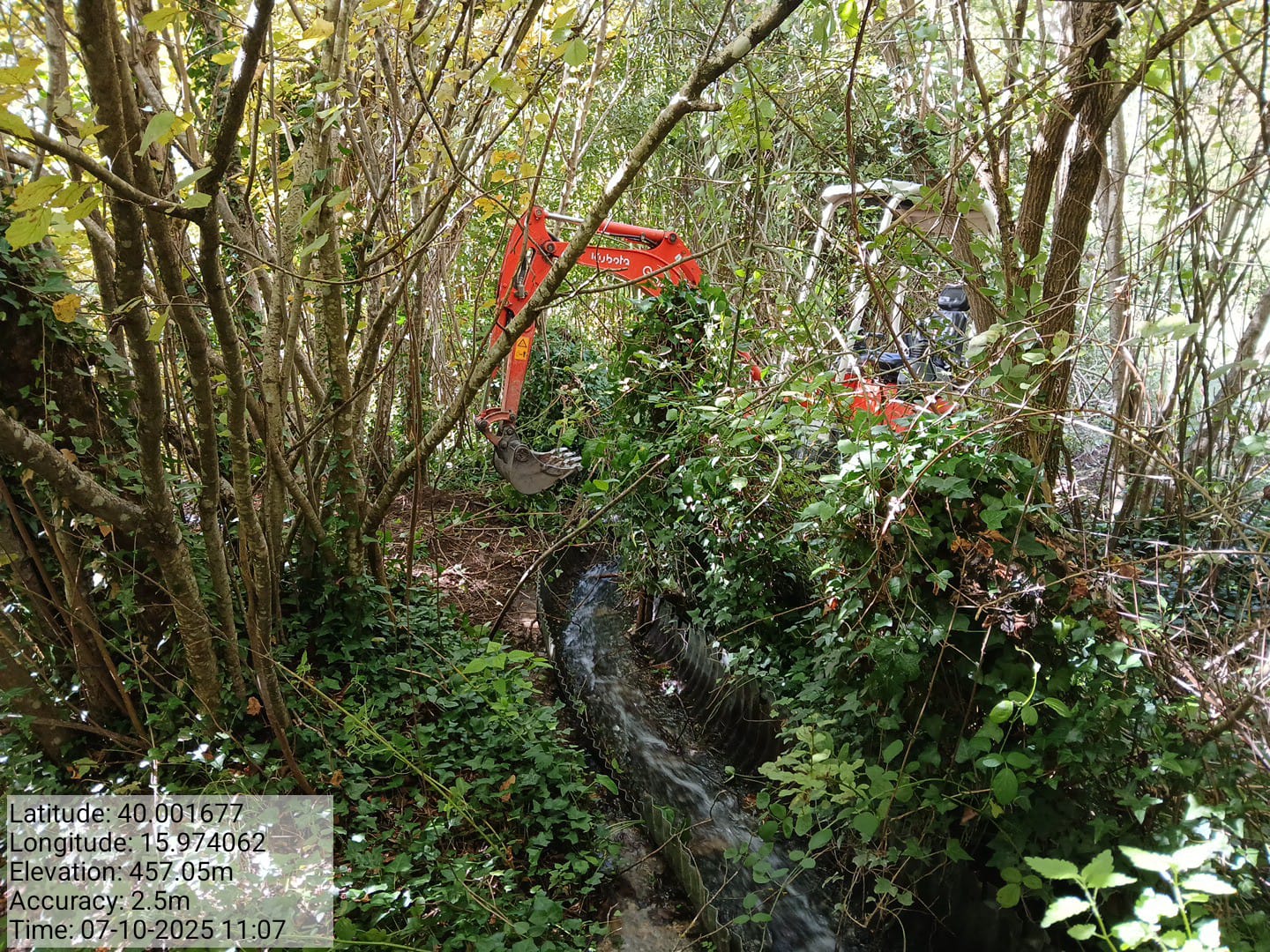 Galleria Fotografica Immagine