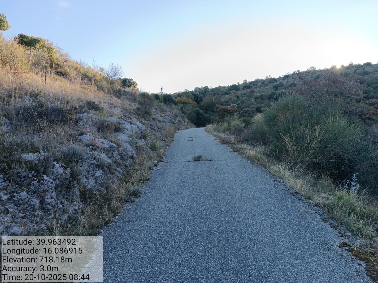 Galleria Fotografica Immagine