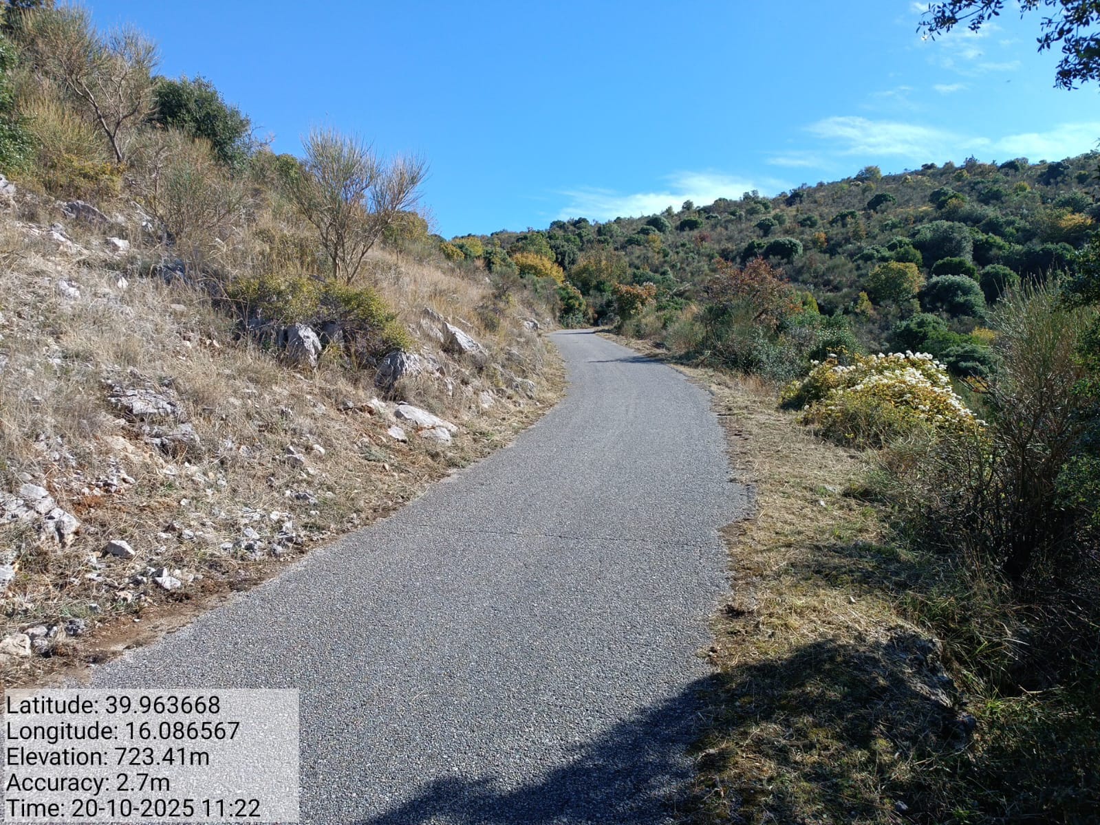 Galleria Fotografica Immagine