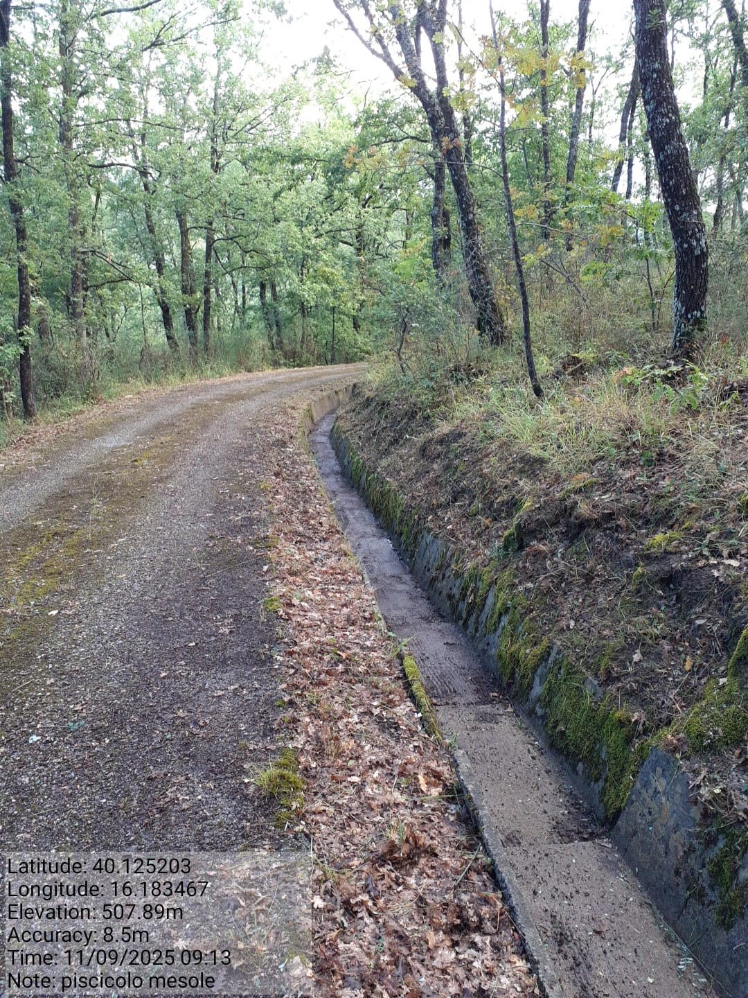 Galleria Fotografica Immagine