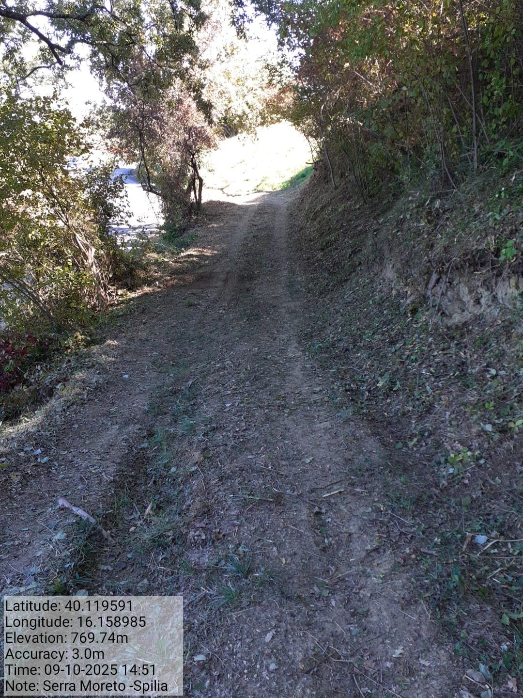 Galleria Fotografica Immagine