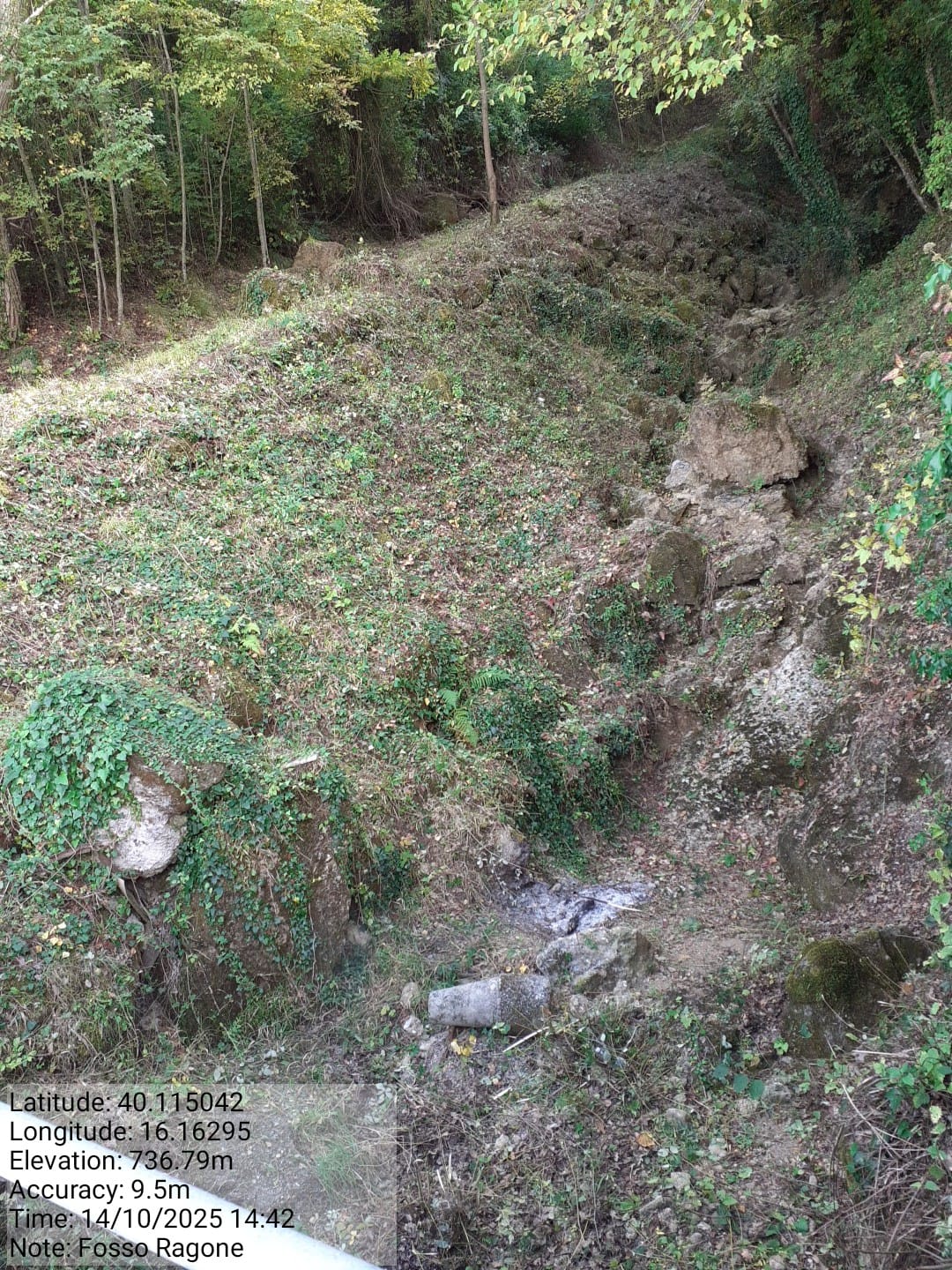 Galleria Fotografica Immagine