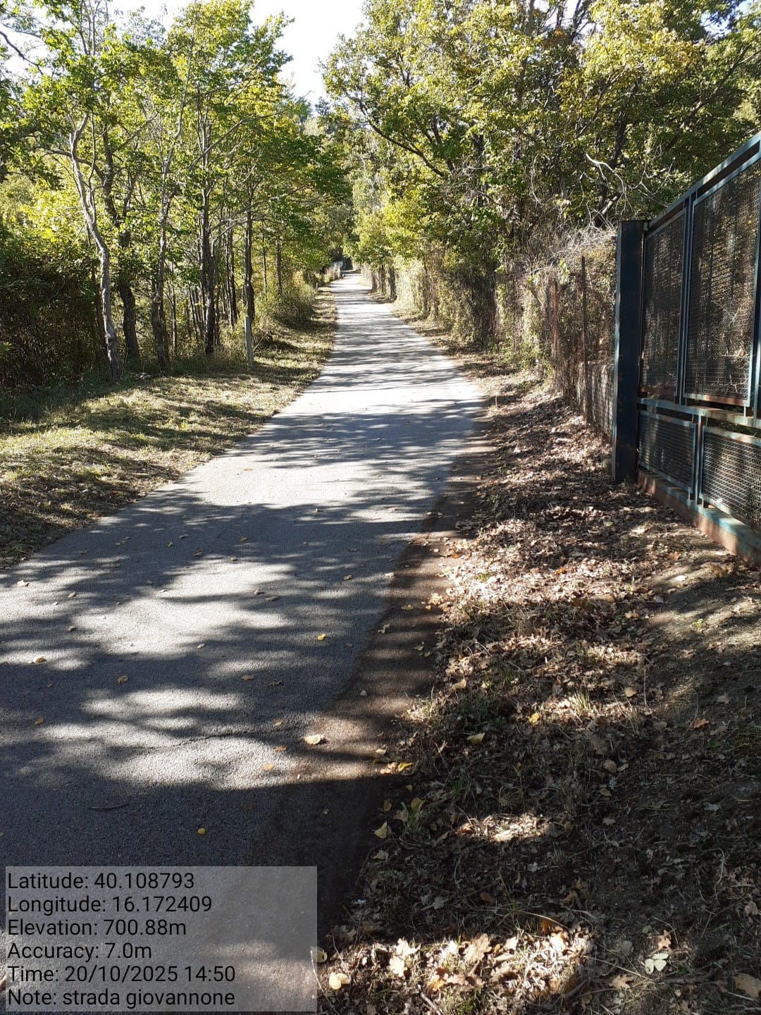 Galleria Fotografica Immagine