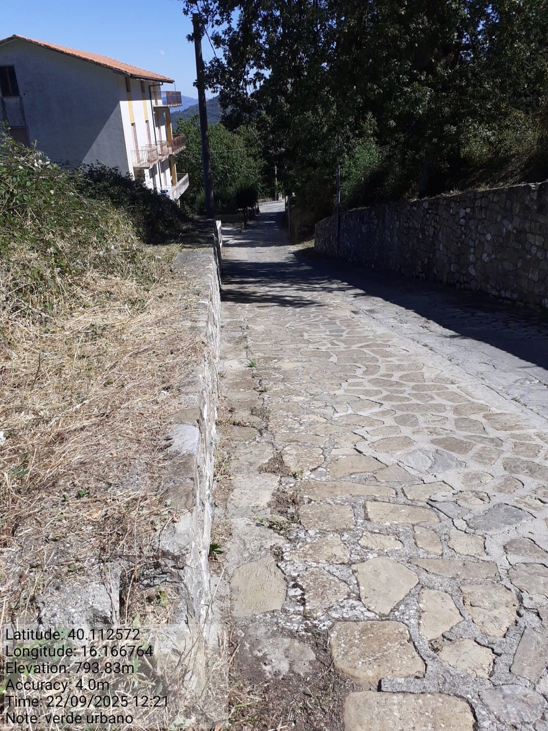 Galleria Fotografica Immagine