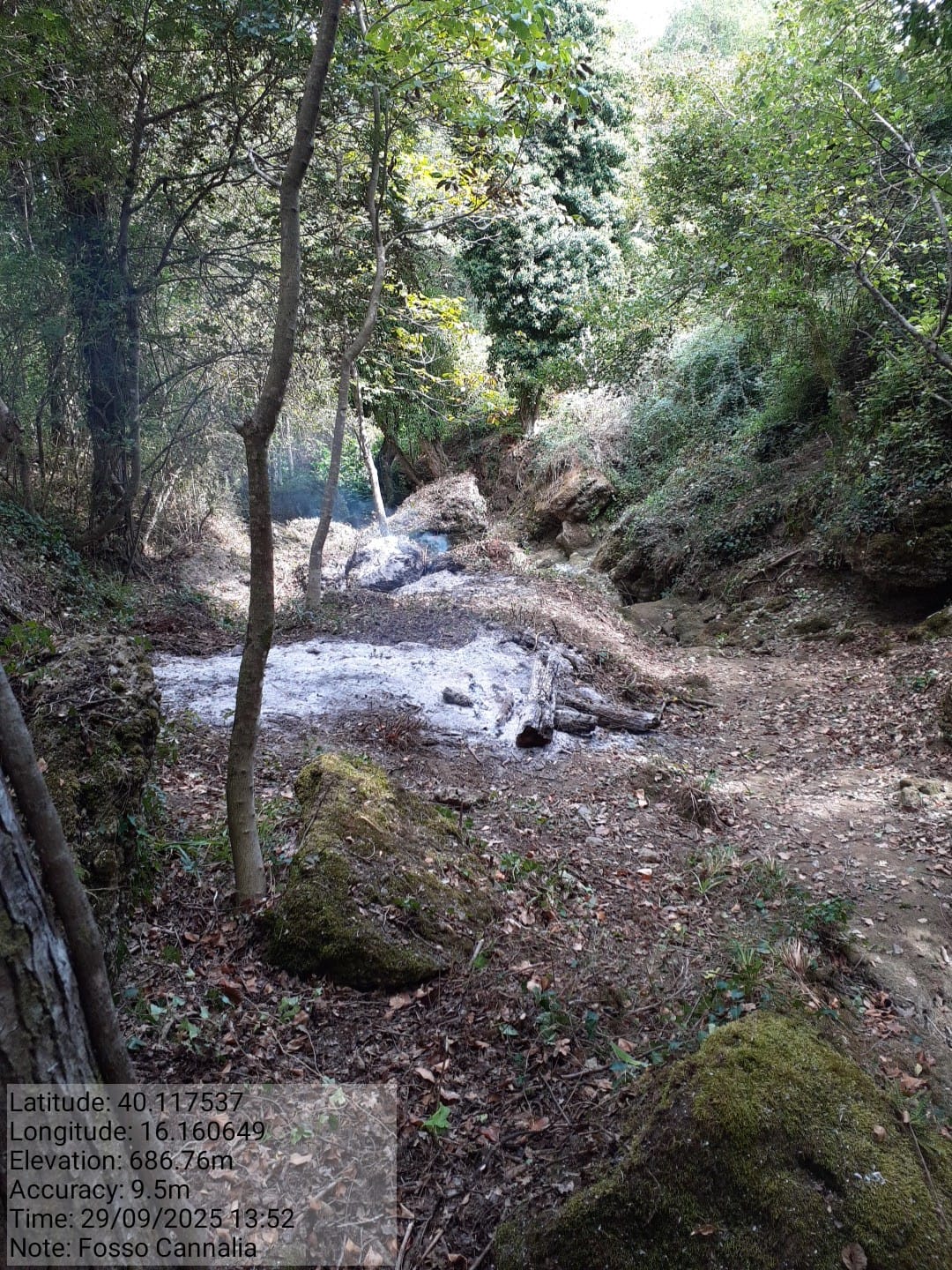 Galleria Fotografica Immagine