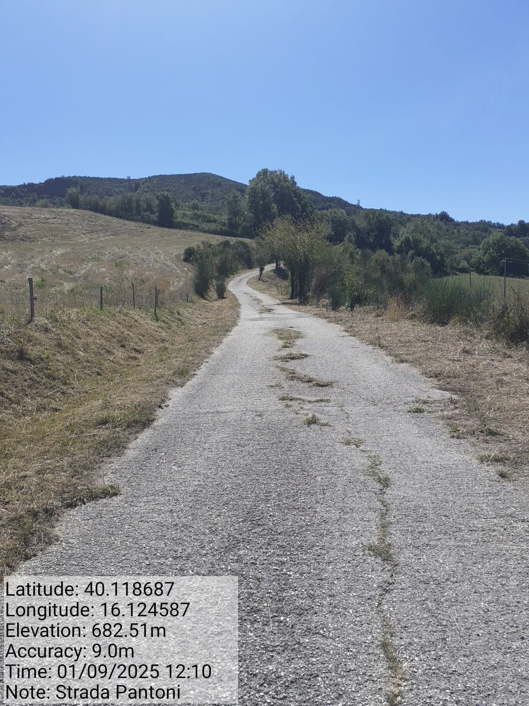 Galleria Fotografica Immagine