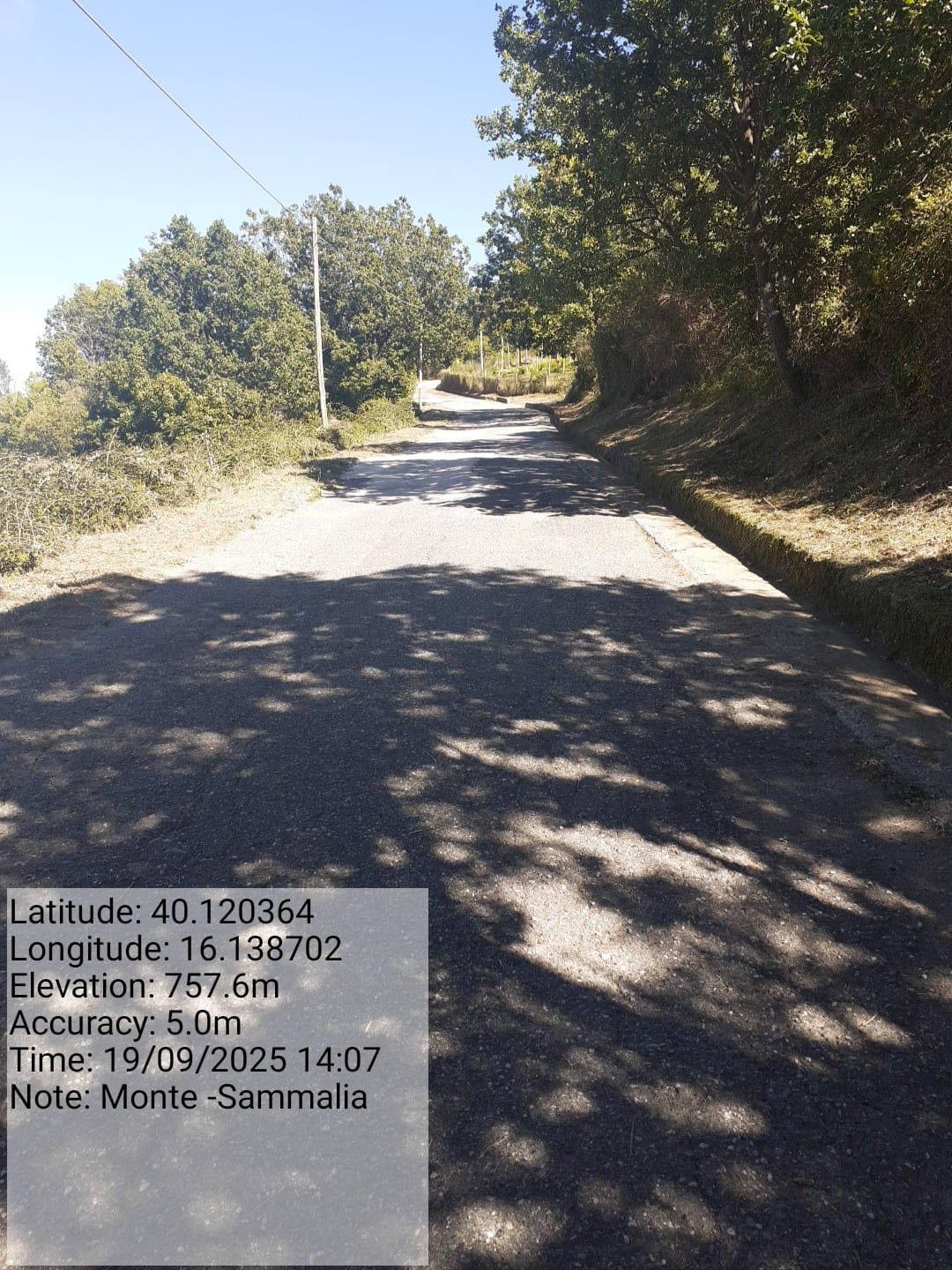 Galleria Fotografica Immagine