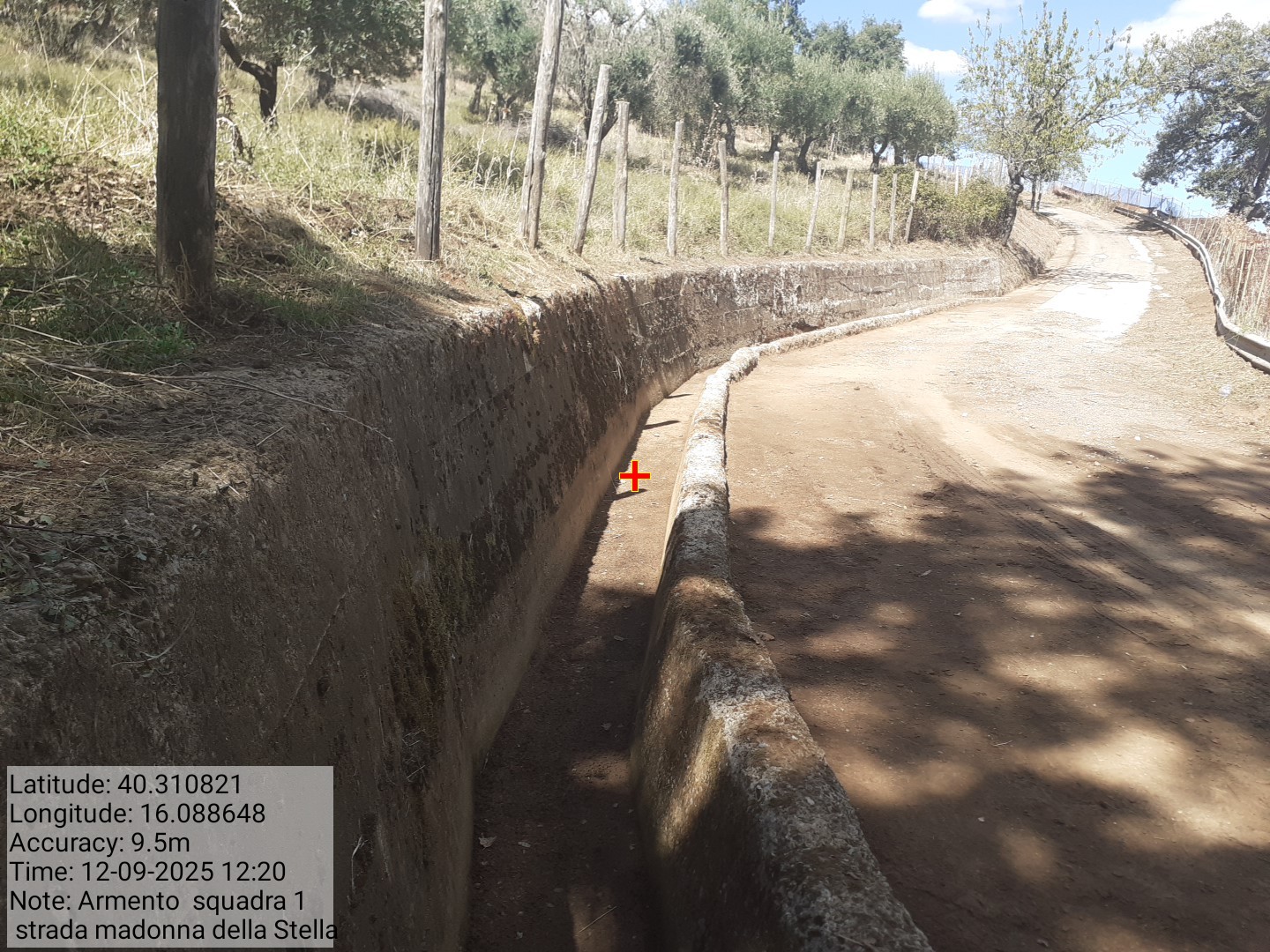 Galleria Fotografica Immagine