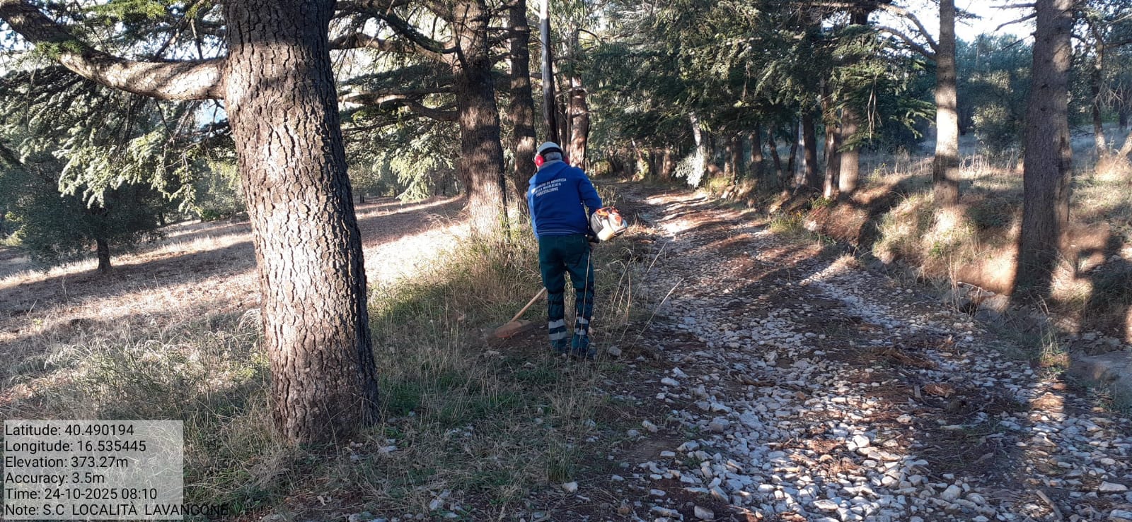 Galleria Fotografica Immagine