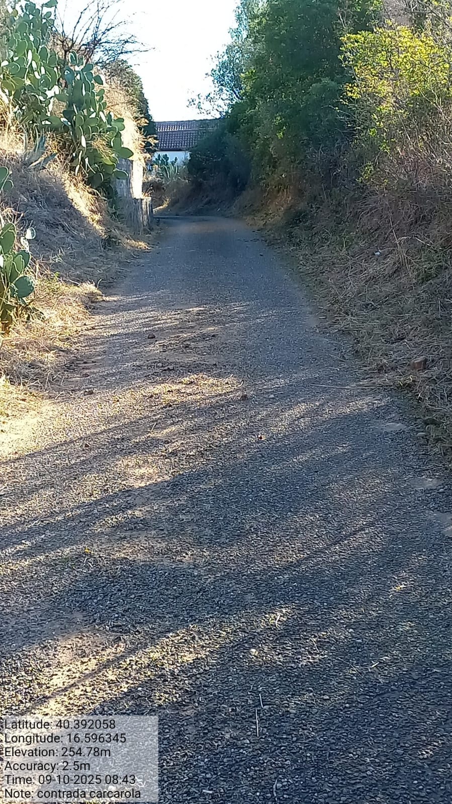 Galleria Fotografica Immagine