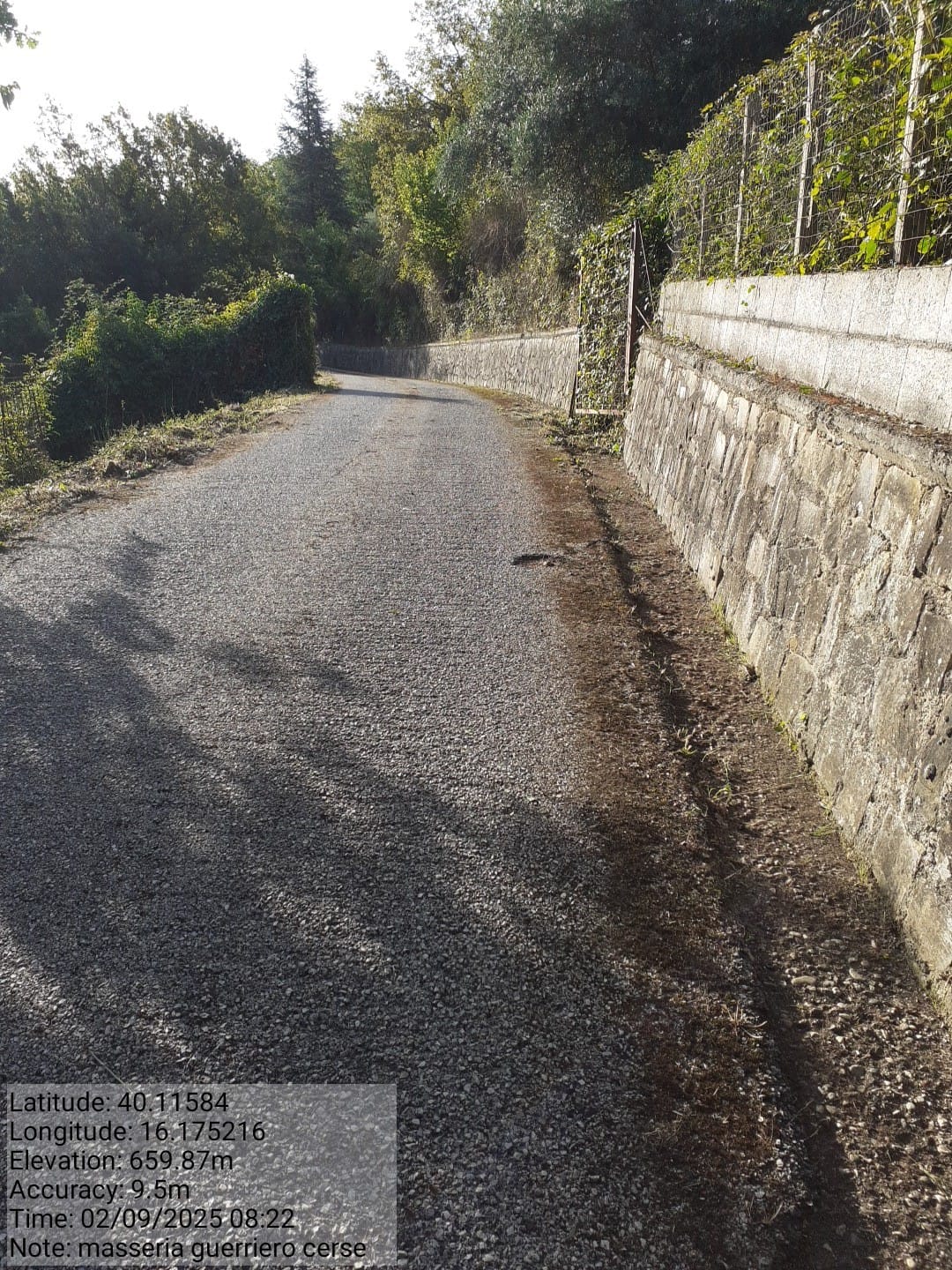 Galleria Fotografica Immagine