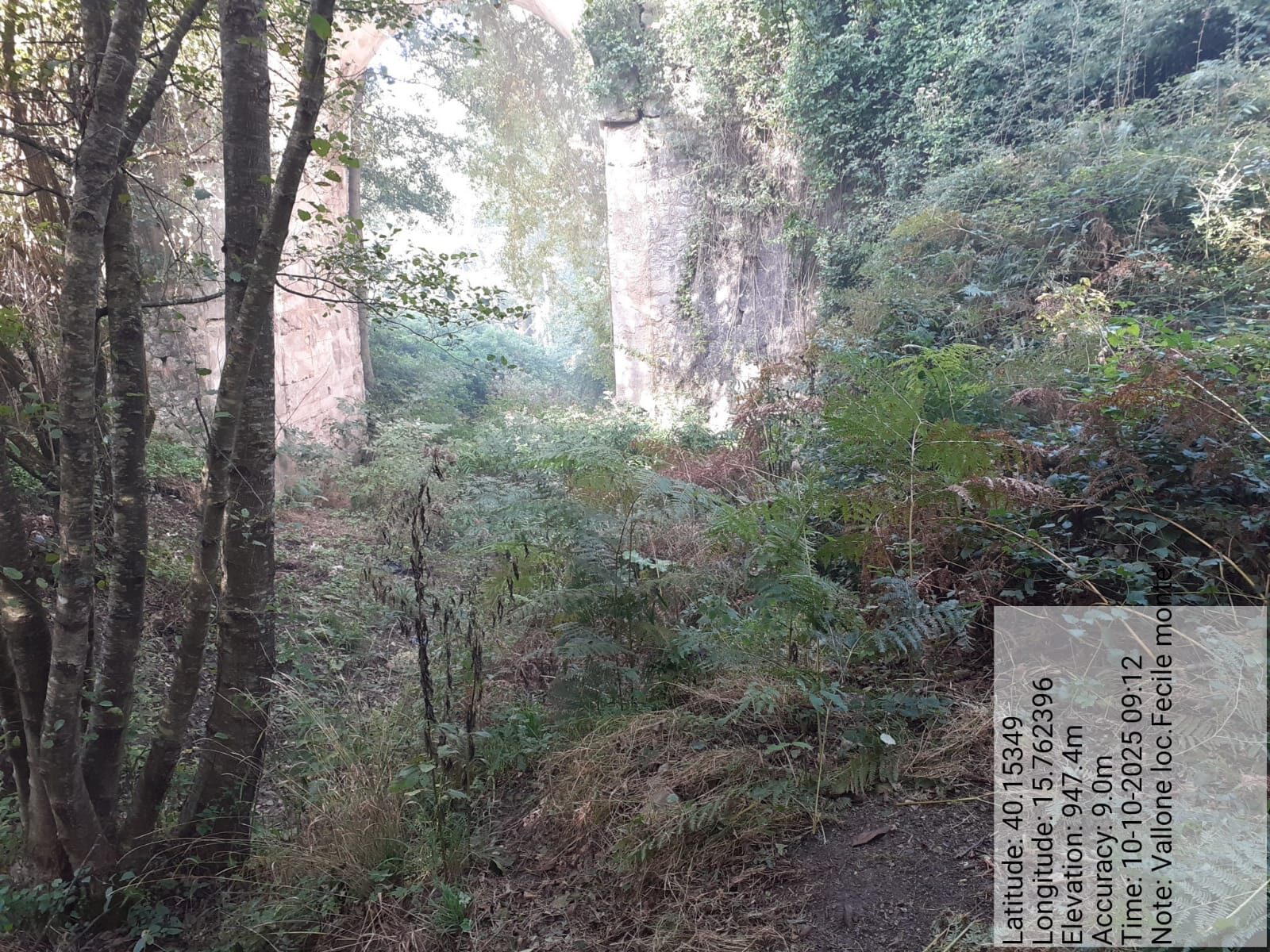 Galleria Fotografica Immagine