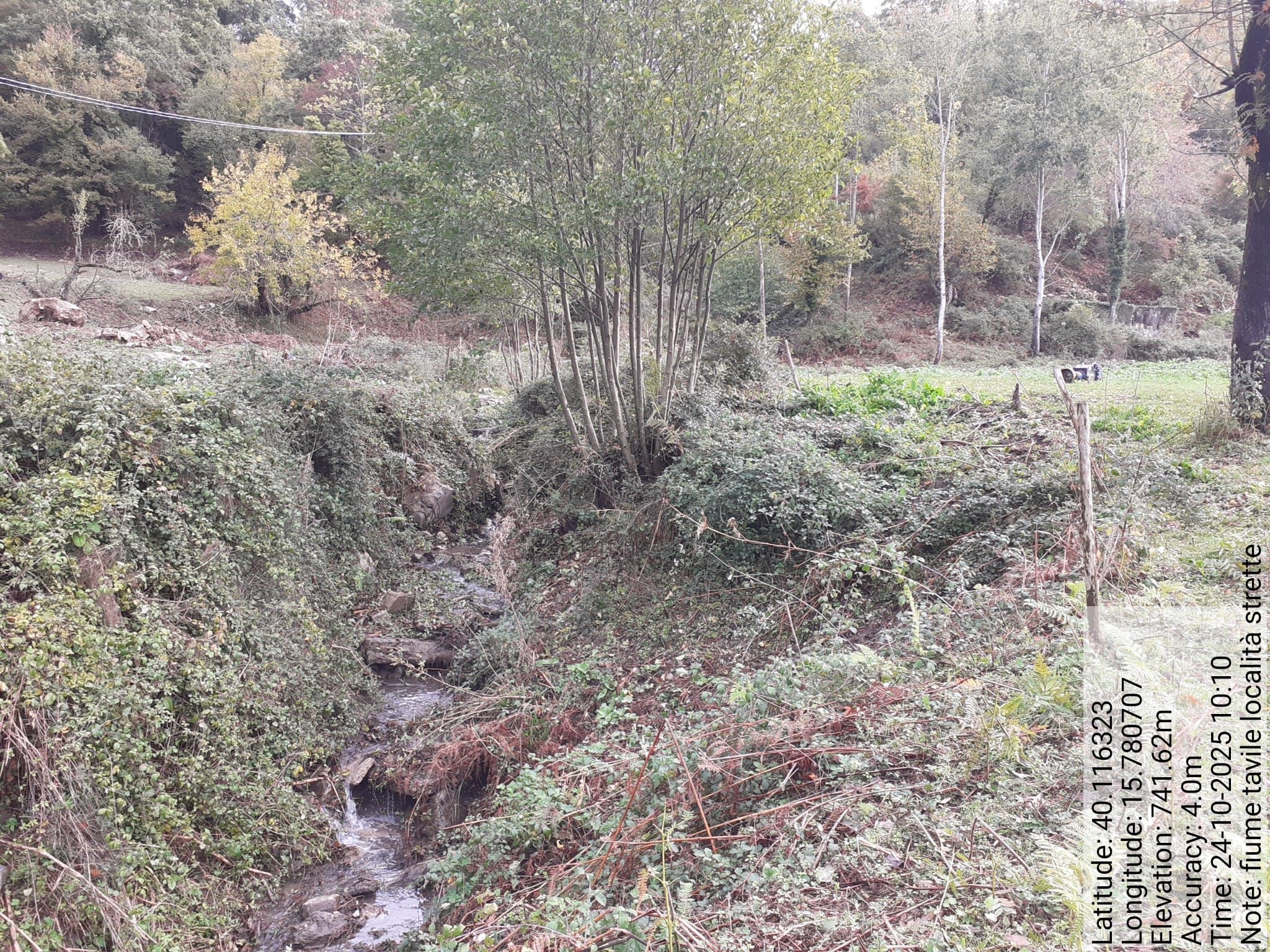 Galleria Fotografica Immagine