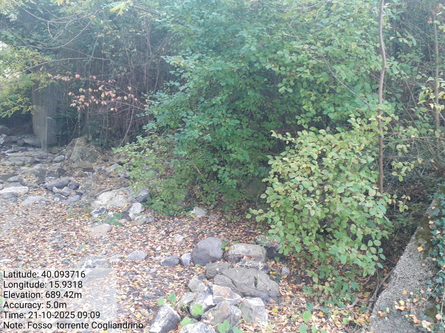 Galleria Fotografica Immagine