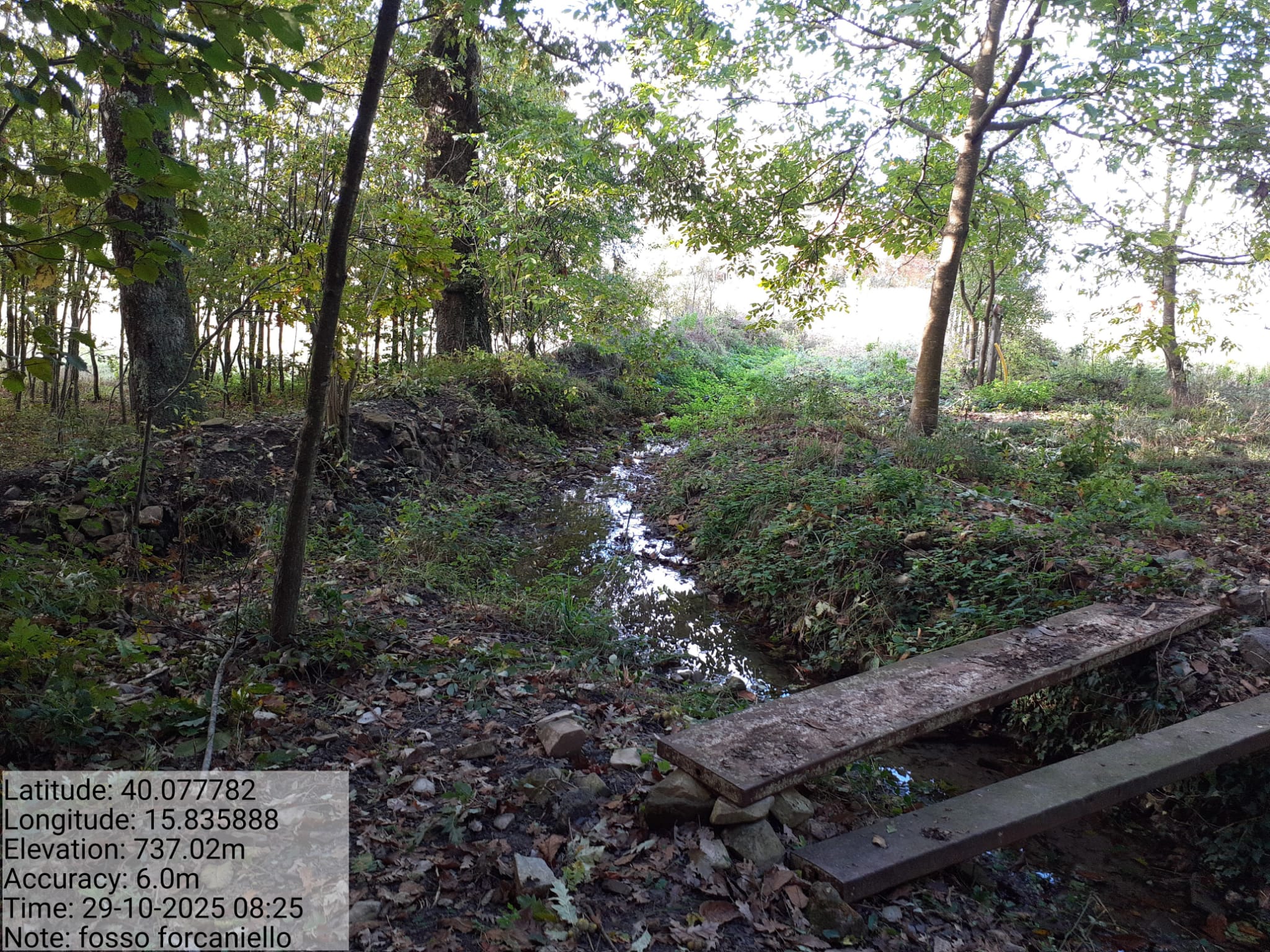 Galleria Fotografica Immagine