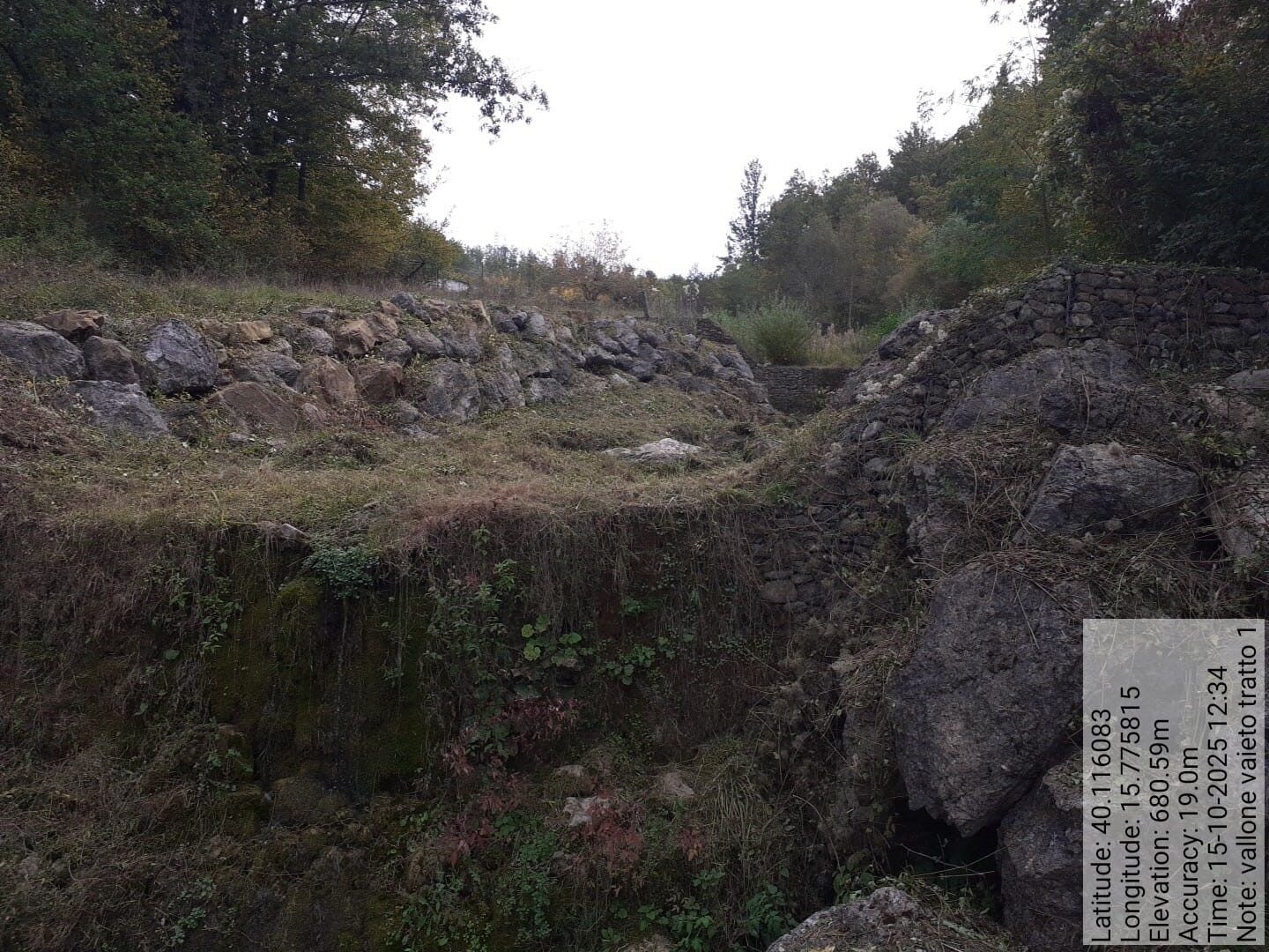 Galleria Fotografica Immagine