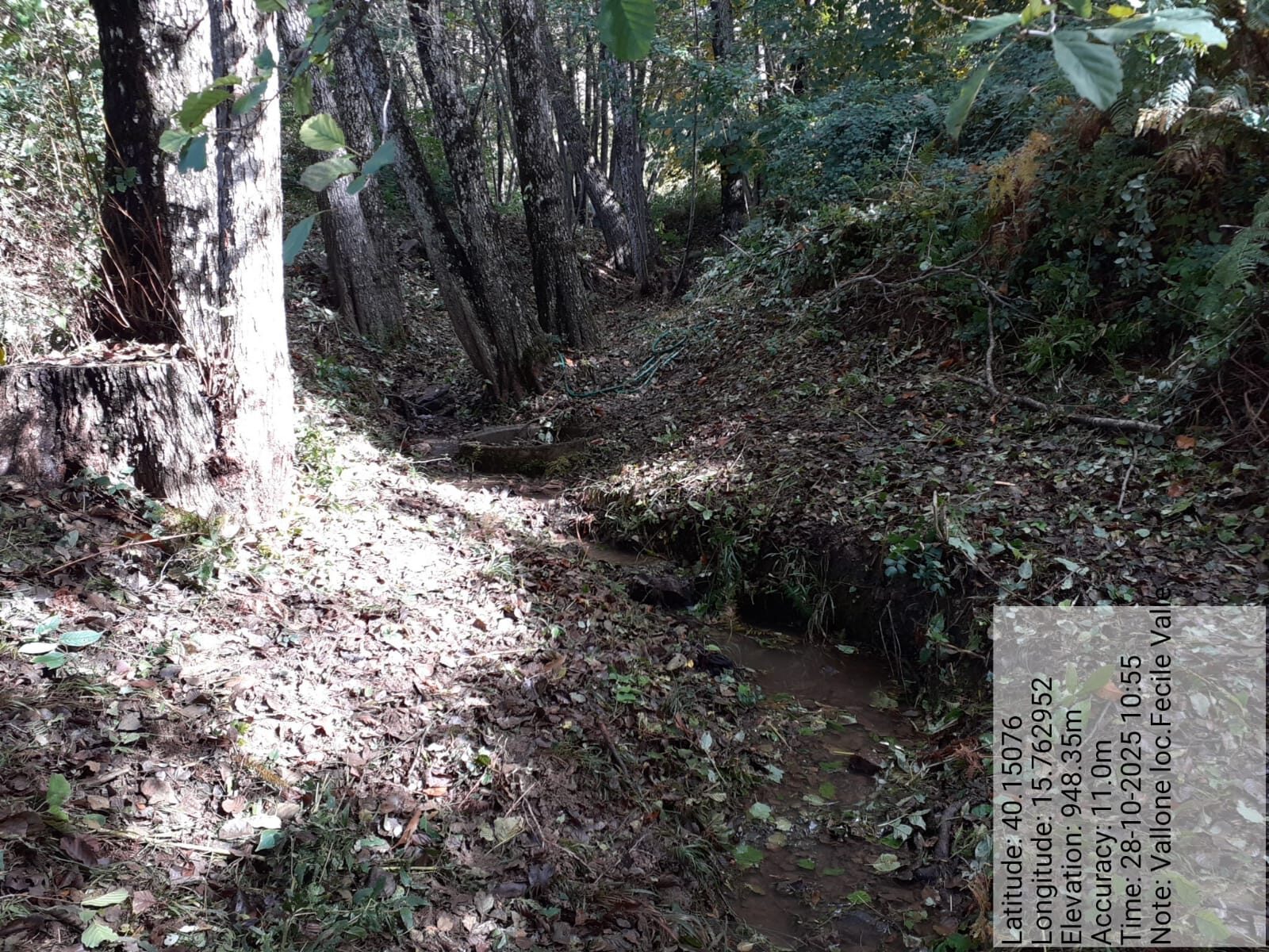 Galleria Fotografica Immagine