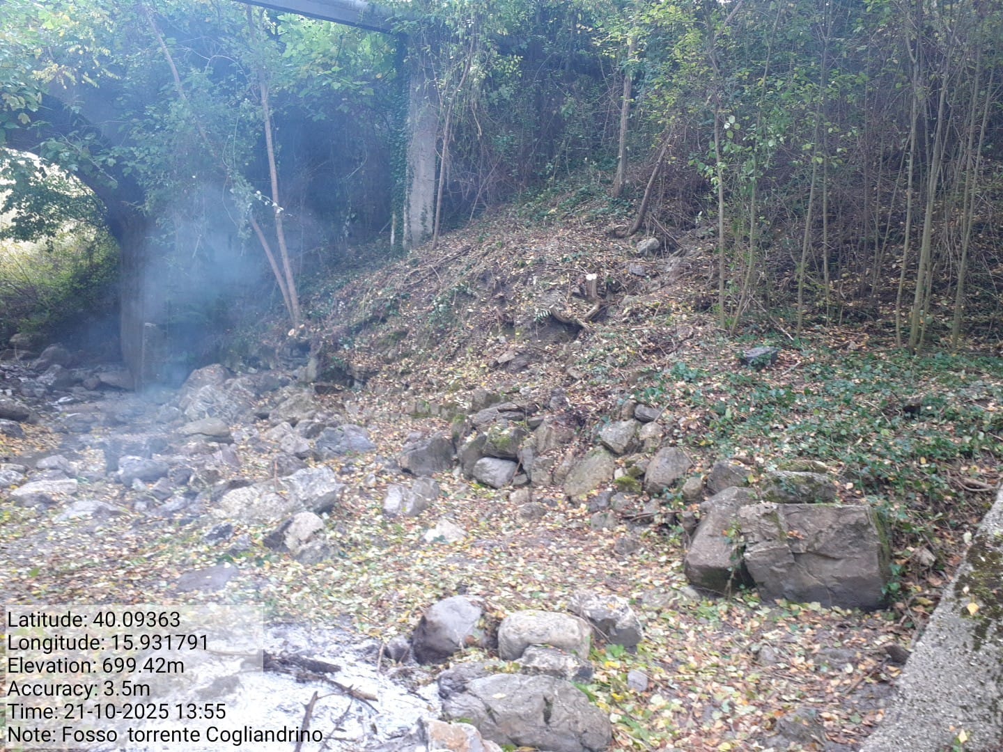 Galleria Fotografica Immagine