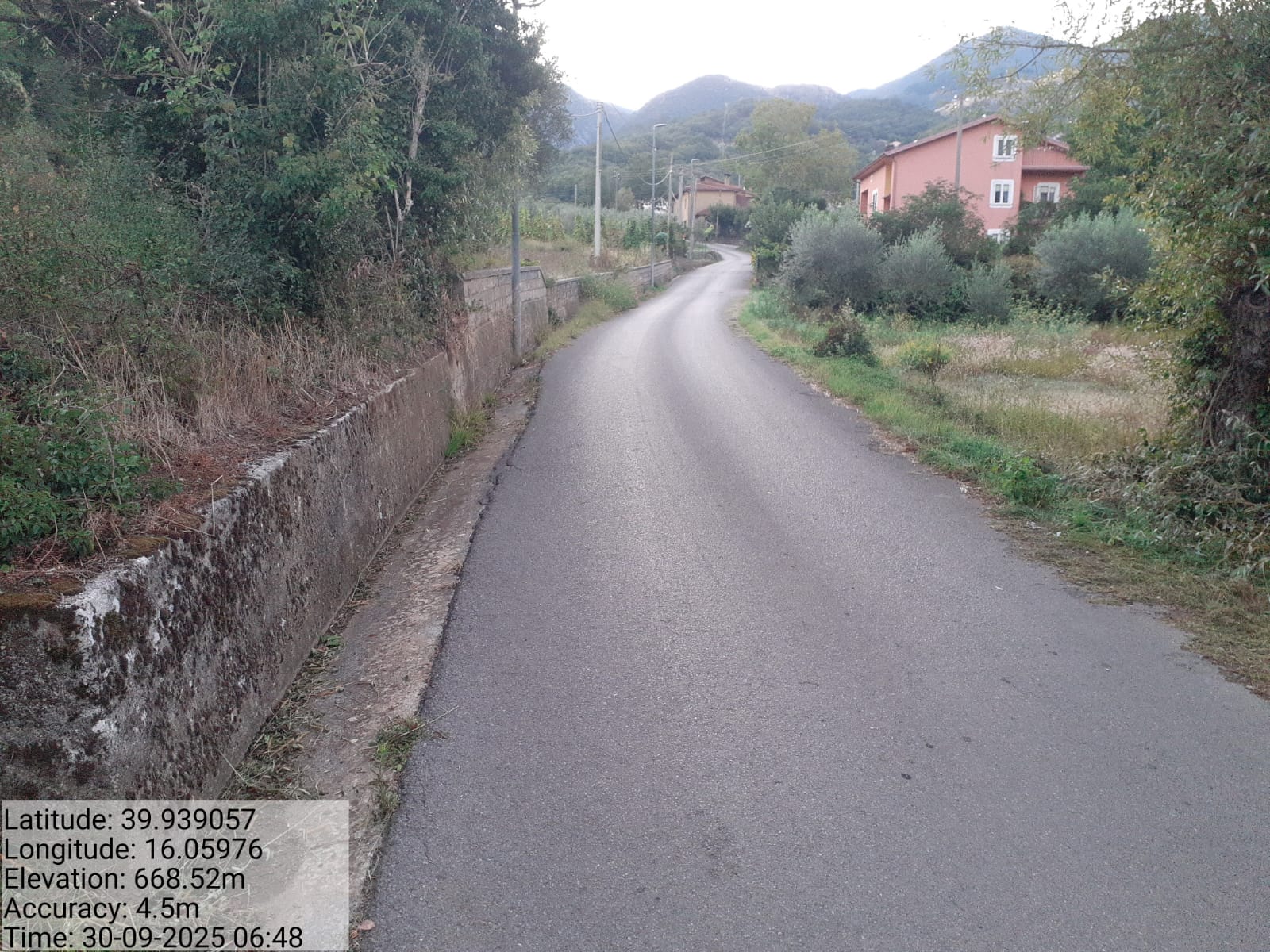 Galleria Fotografica Immagine