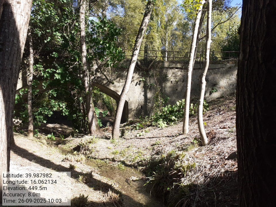 Galleria Fotografica Immagine