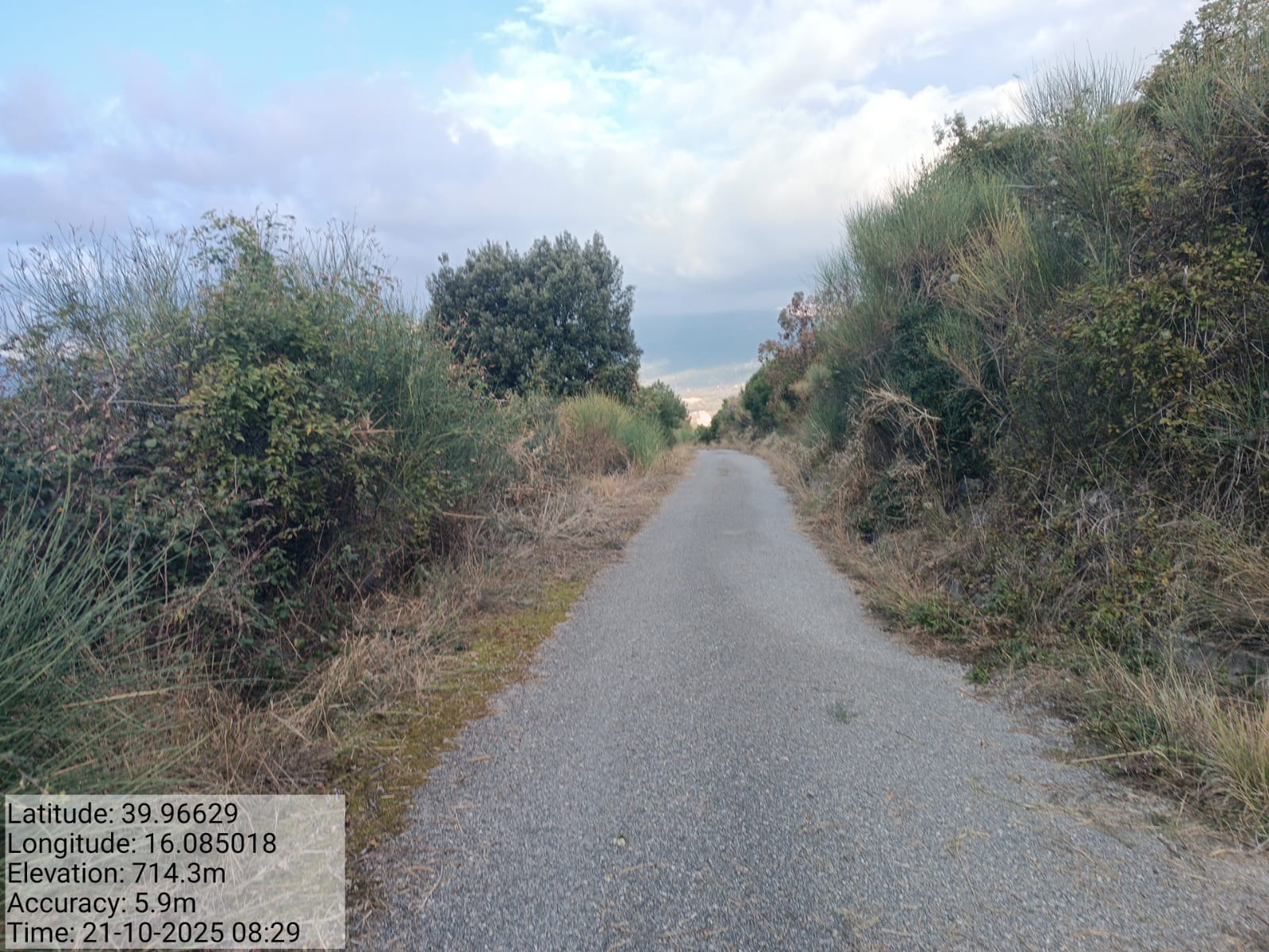 Galleria Fotografica Immagine