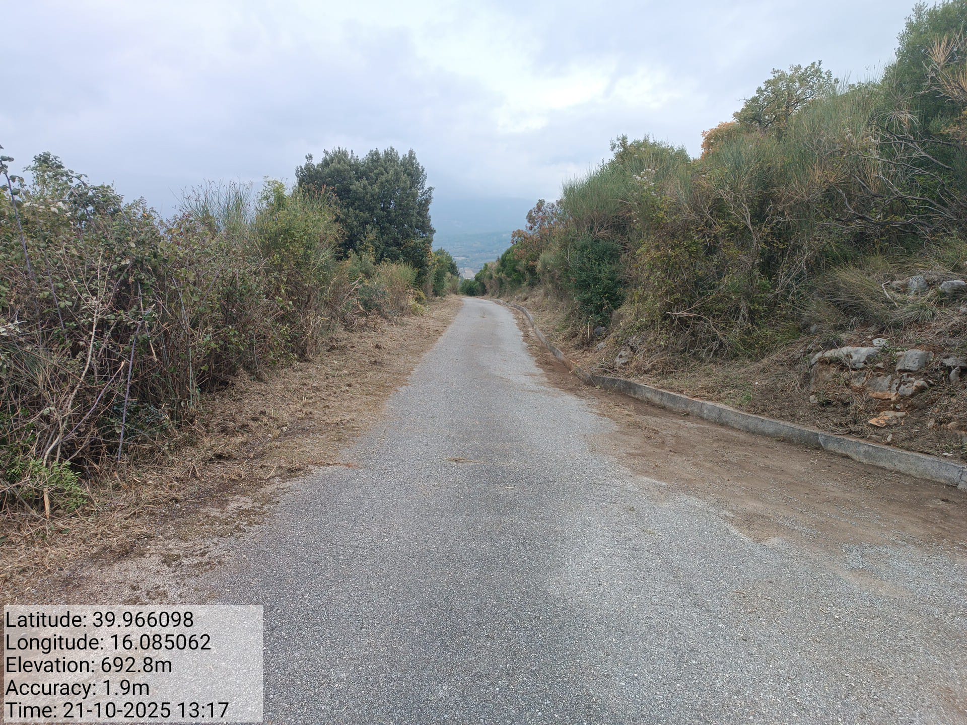 Galleria Fotografica Immagine