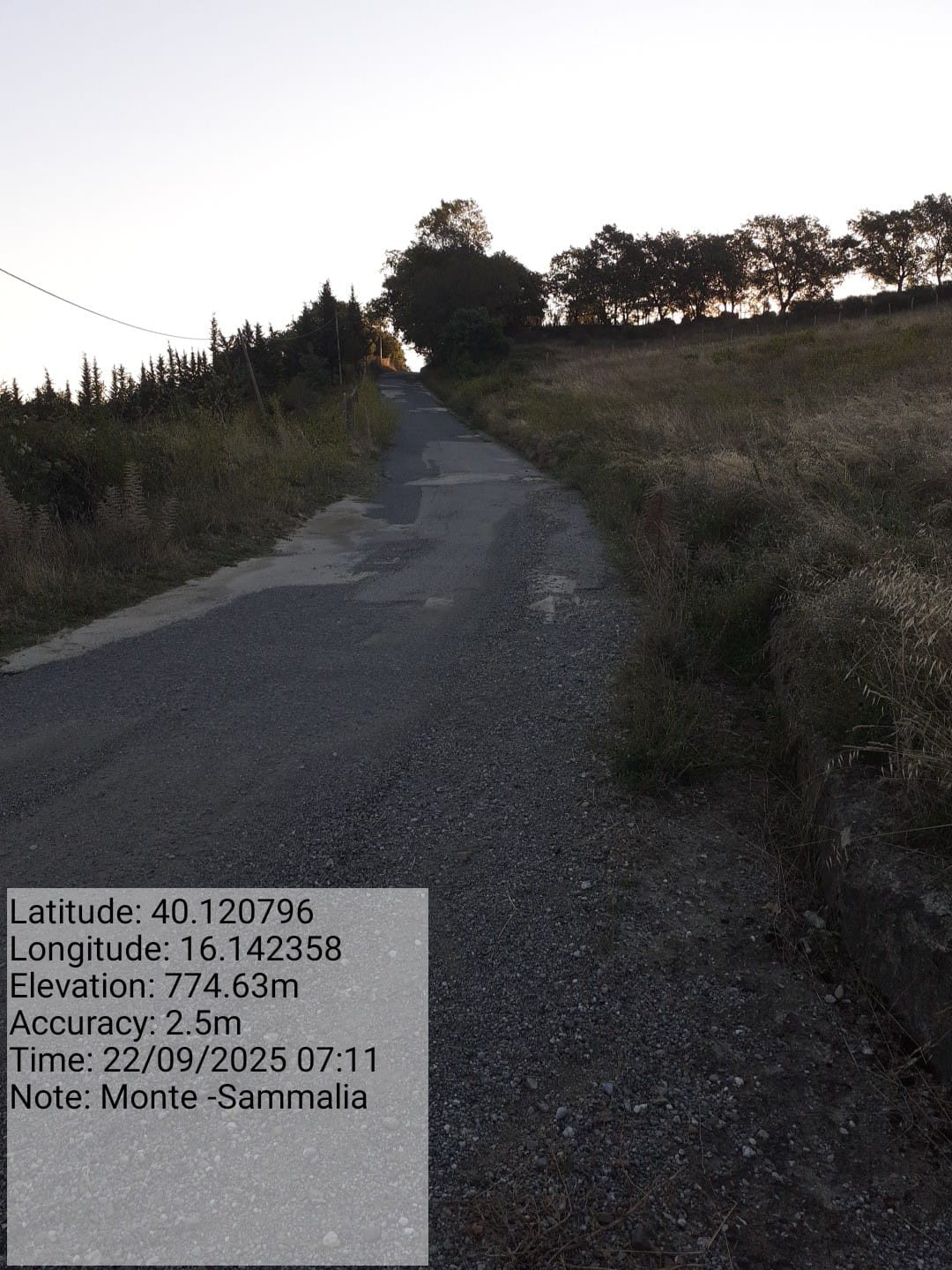 Galleria Fotografica Immagine