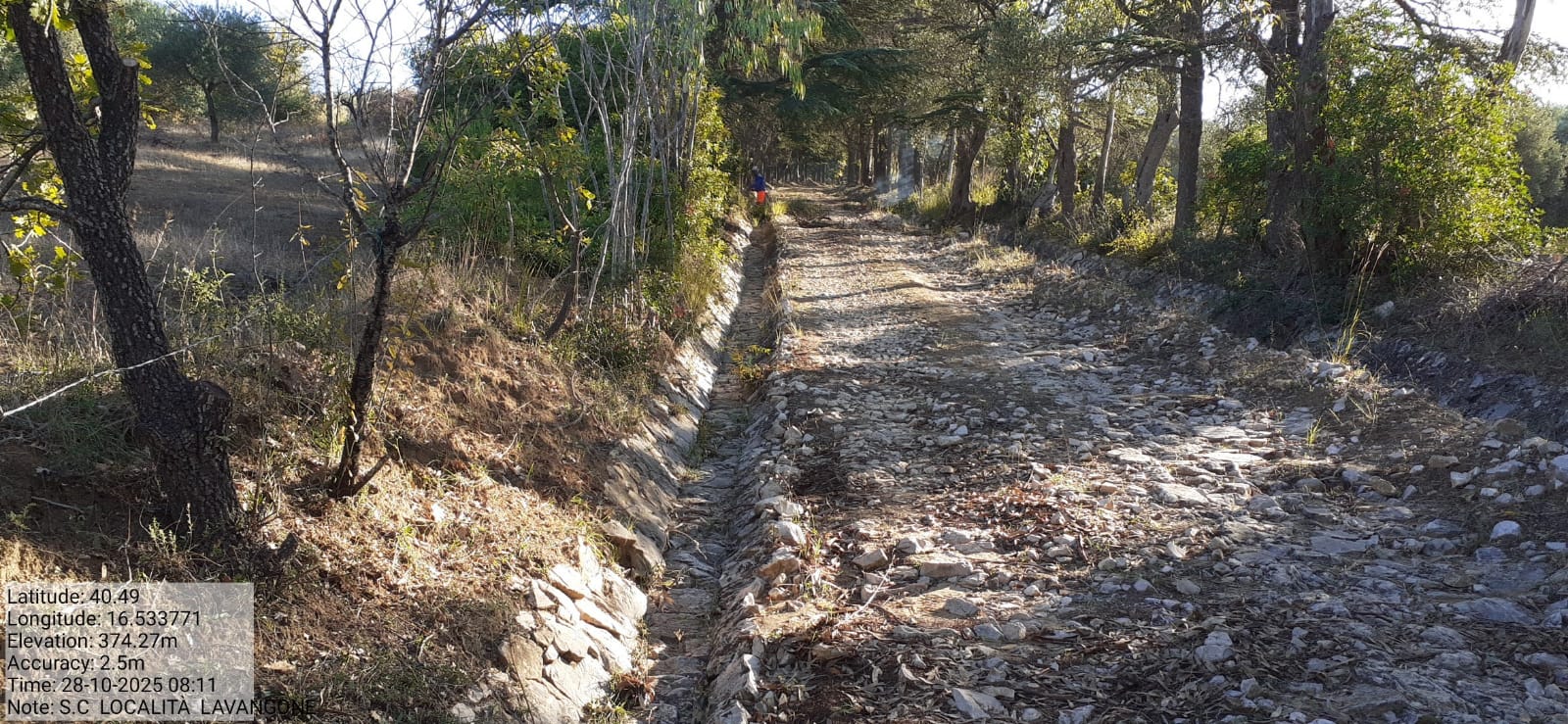 Galleria Fotografica Immagine