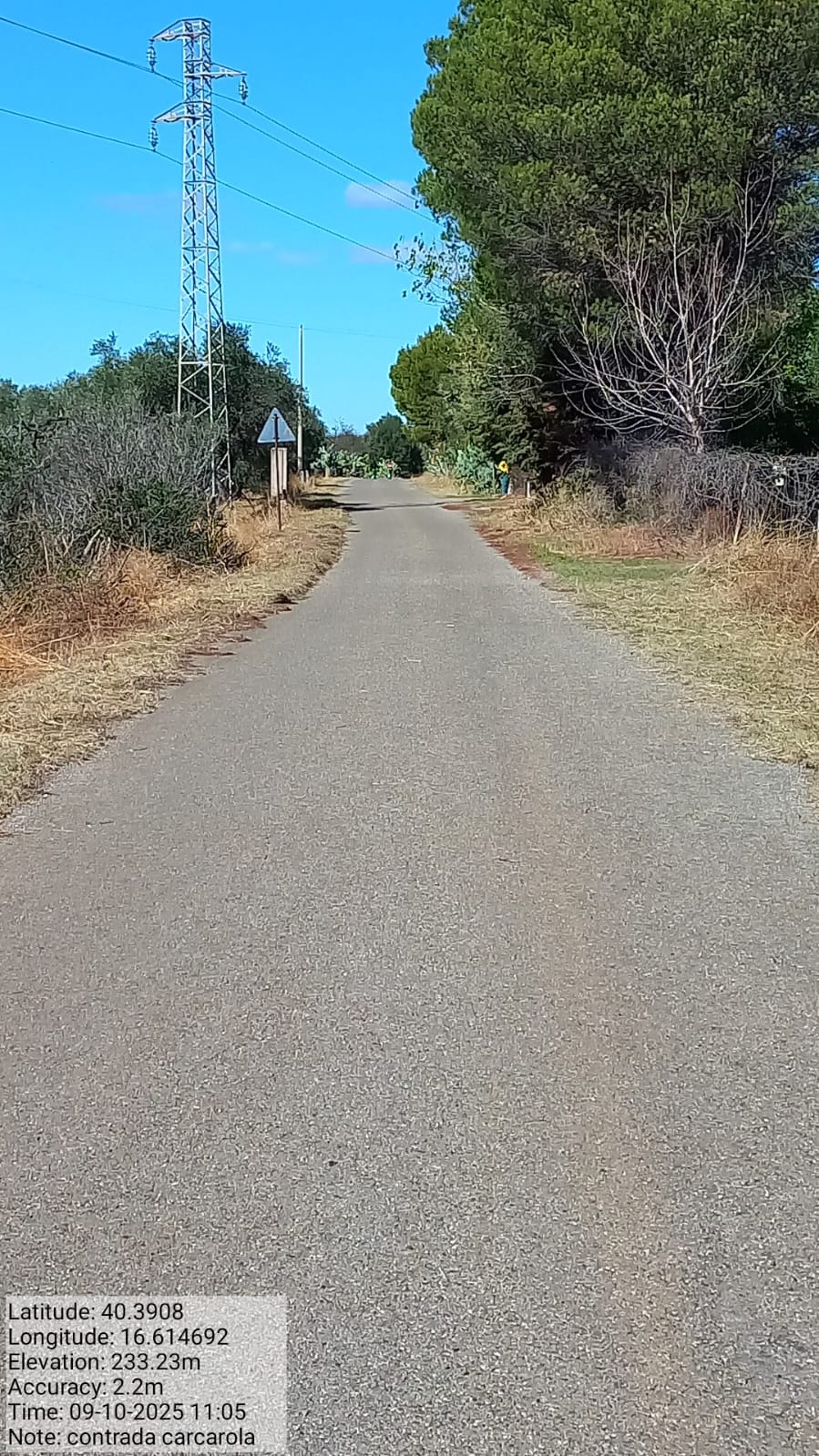 Galleria Fotografica Immagine