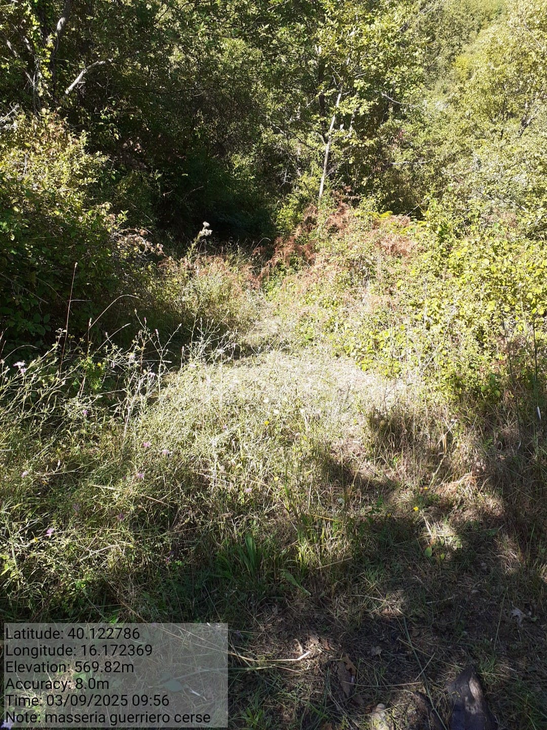 Galleria Fotografica Immagine