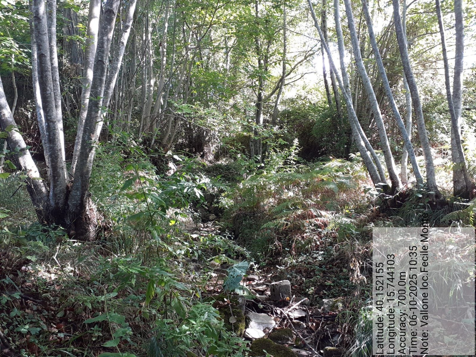 Galleria Fotografica Immagine