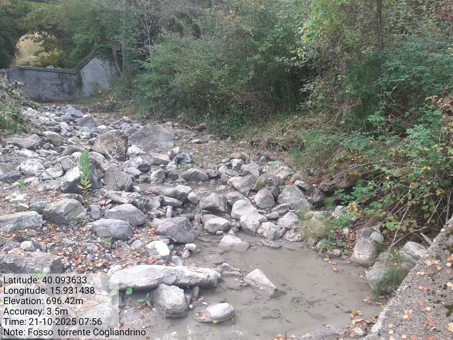 Galleria Fotografica Immagine