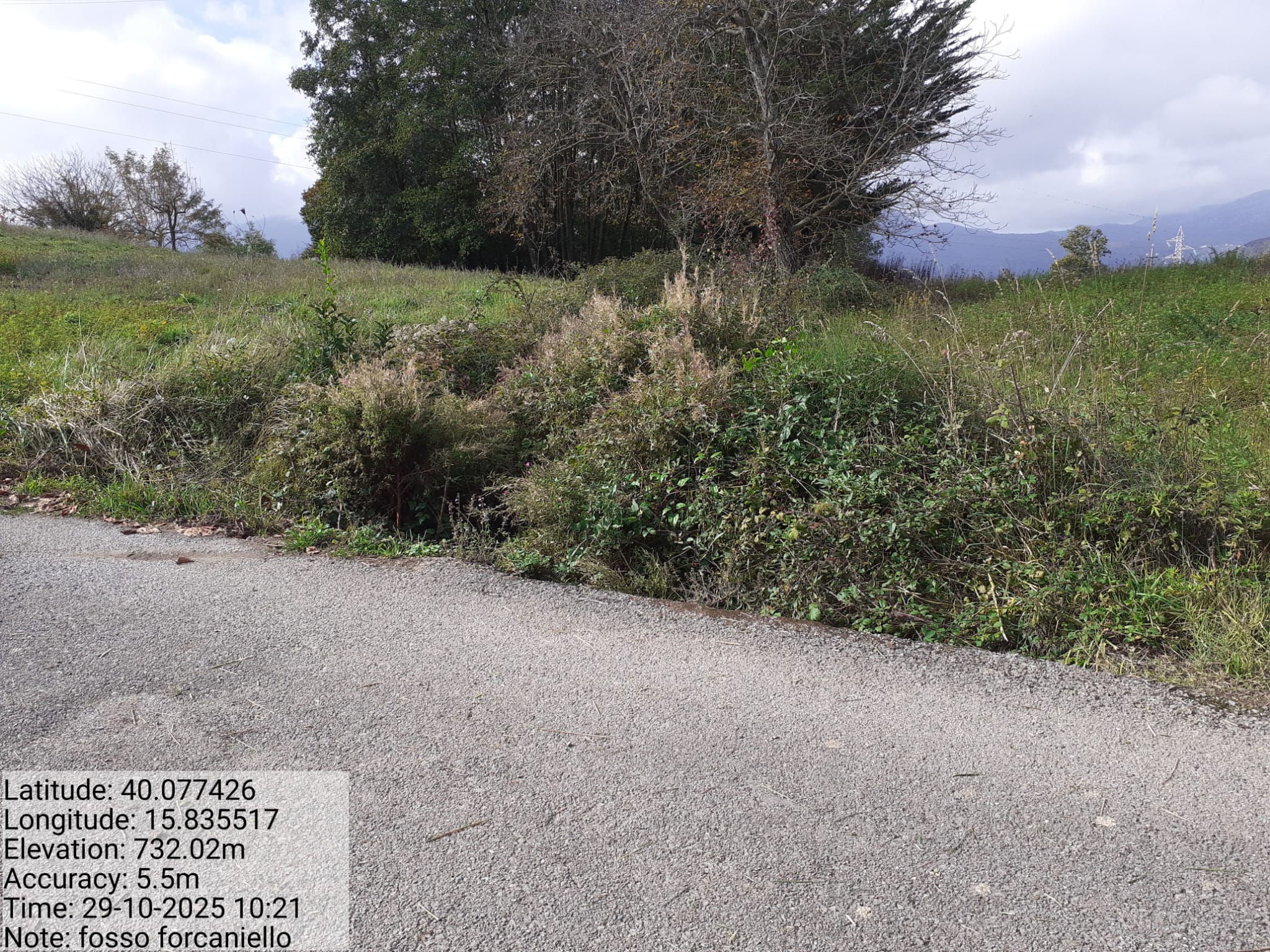 Galleria Fotografica Immagine