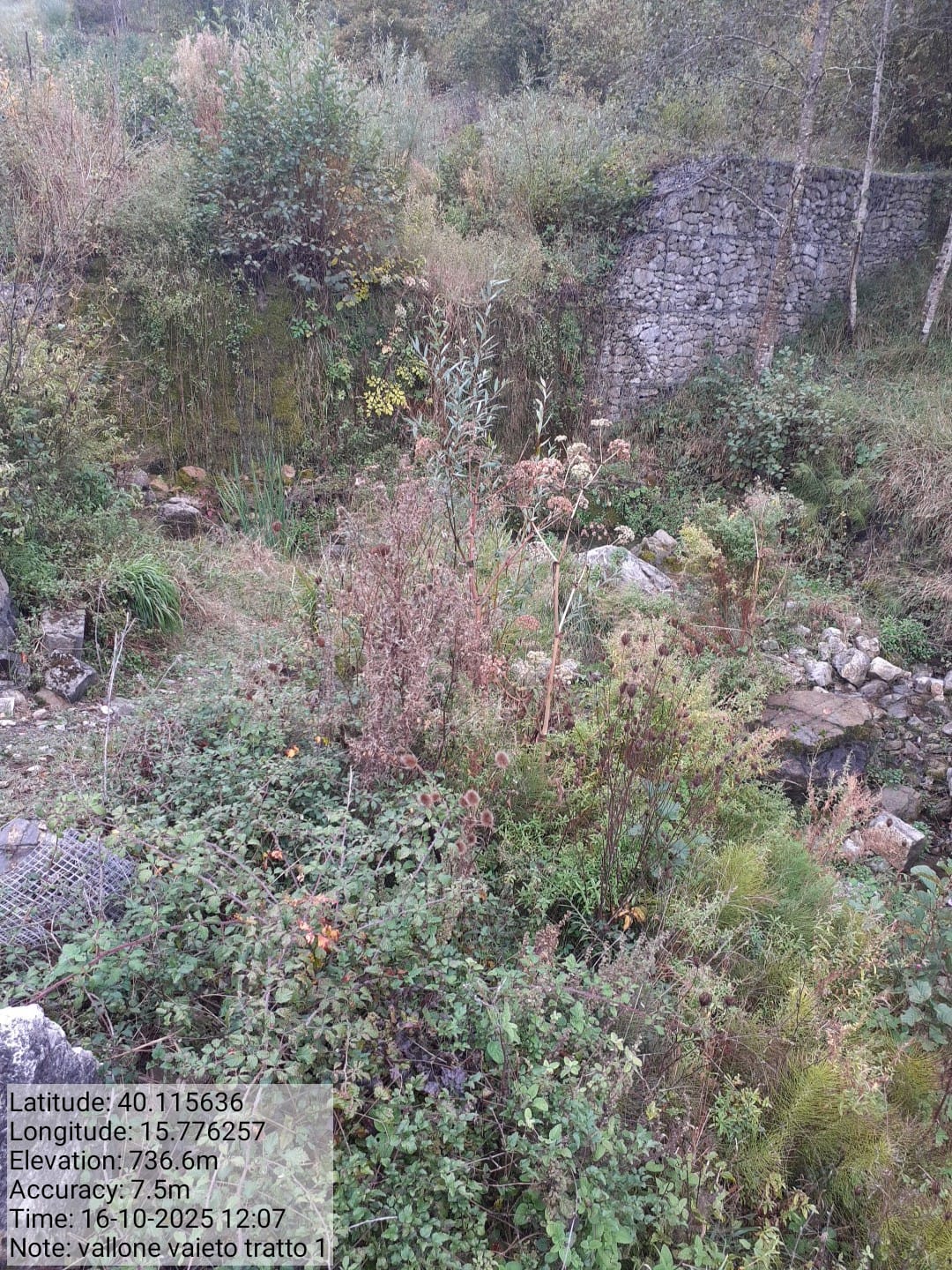 Galleria Fotografica Immagine