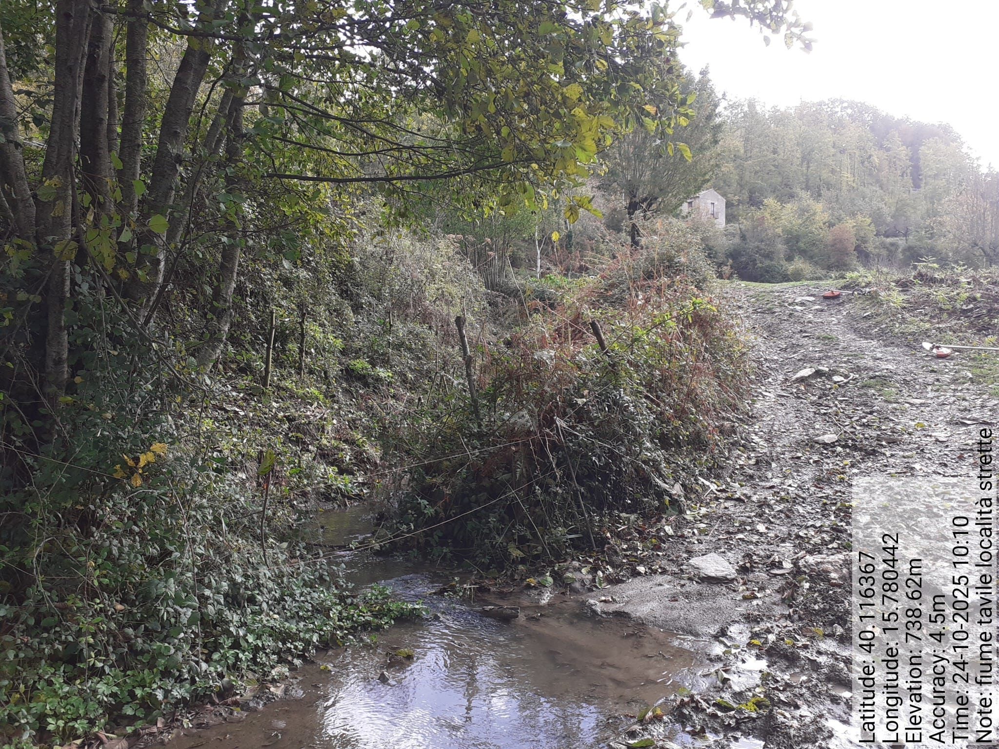 Galleria Fotografica Immagine