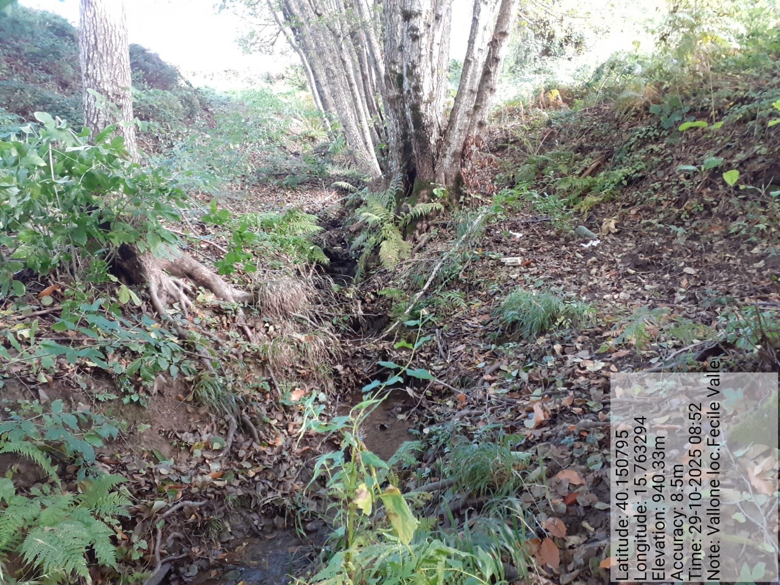 Galleria Fotografica Immagine