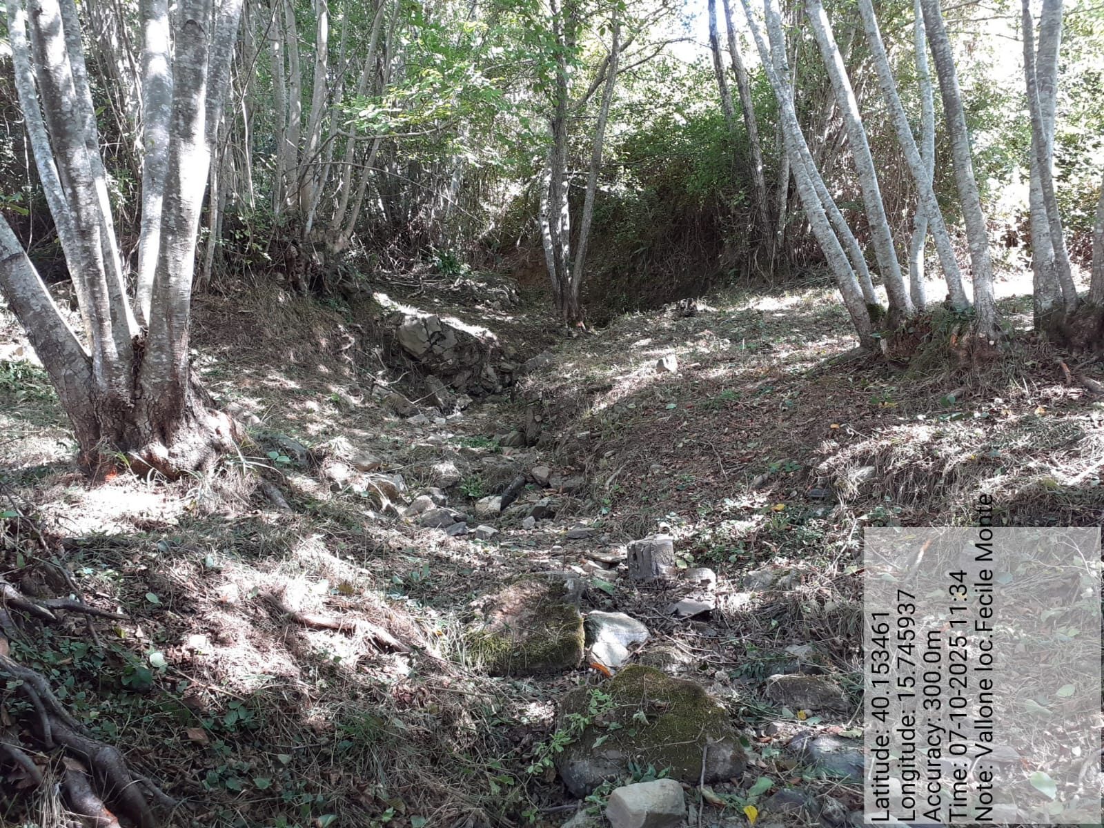 Galleria Fotografica Immagine