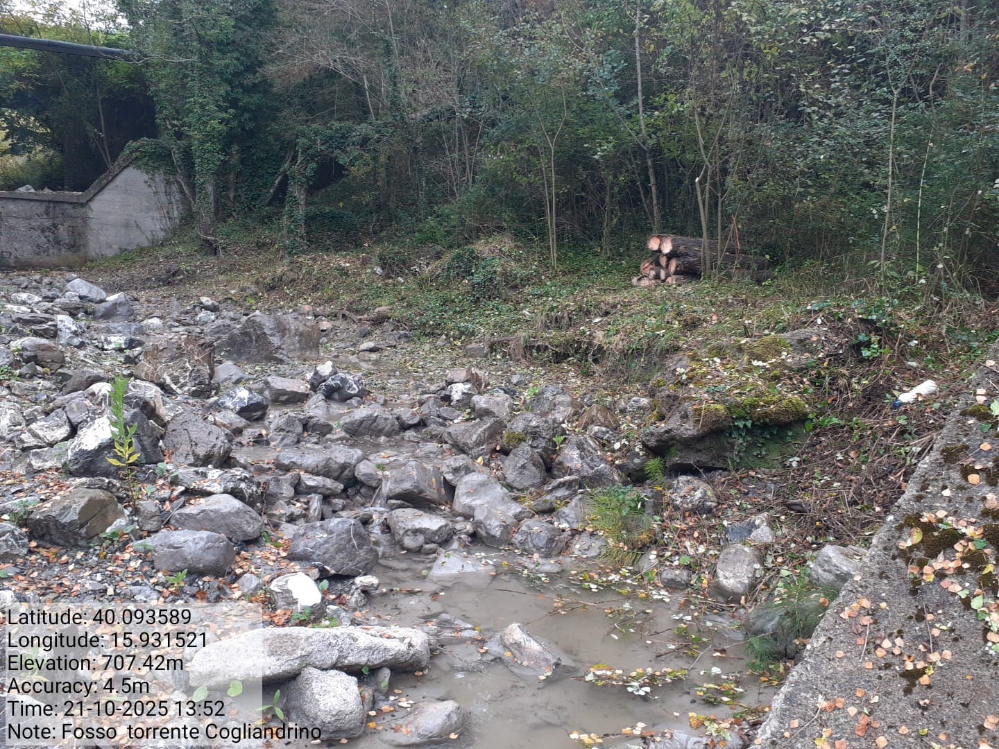 Galleria Fotografica Immagine