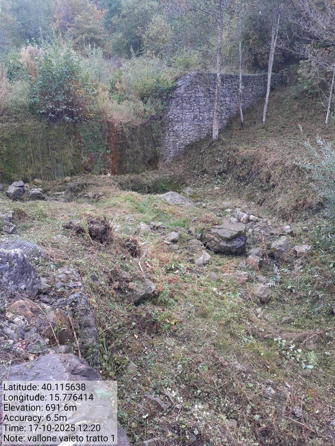 Galleria Fotografica Immagine