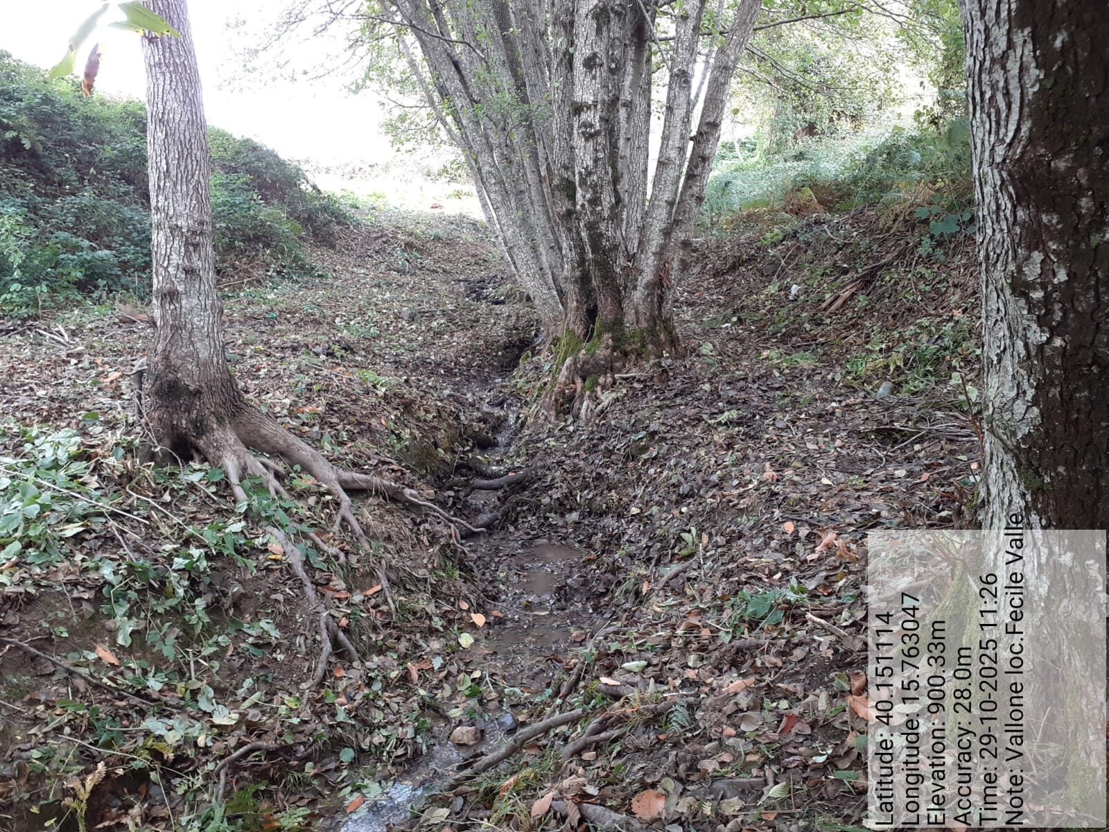 Galleria Fotografica Immagine