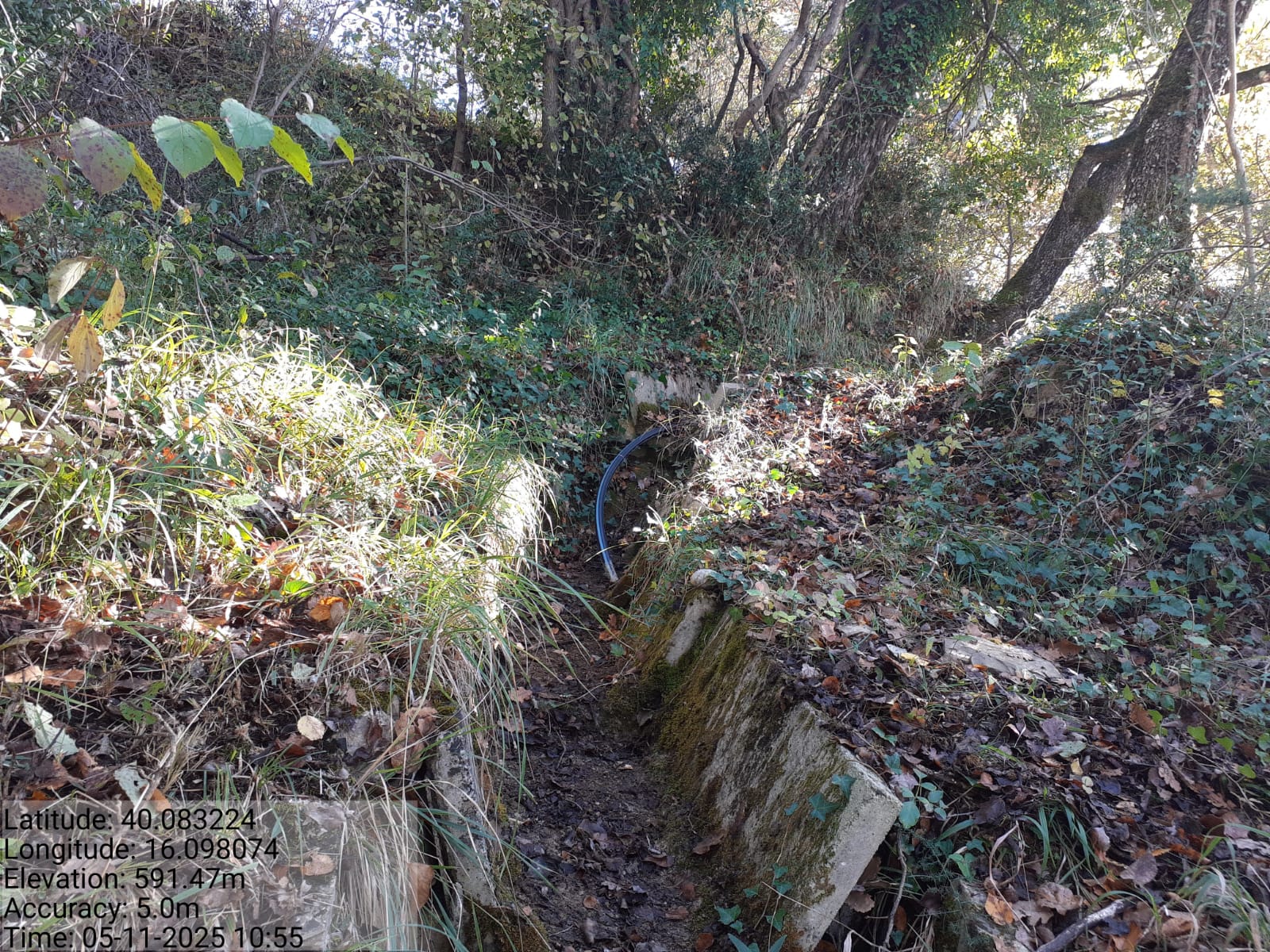 Galleria Fotografica Immagine