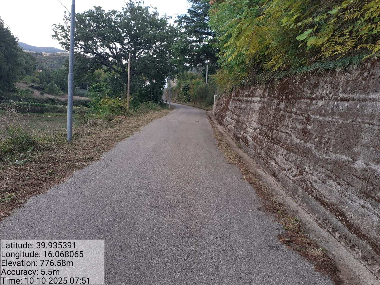 Galleria Fotografica Immagine