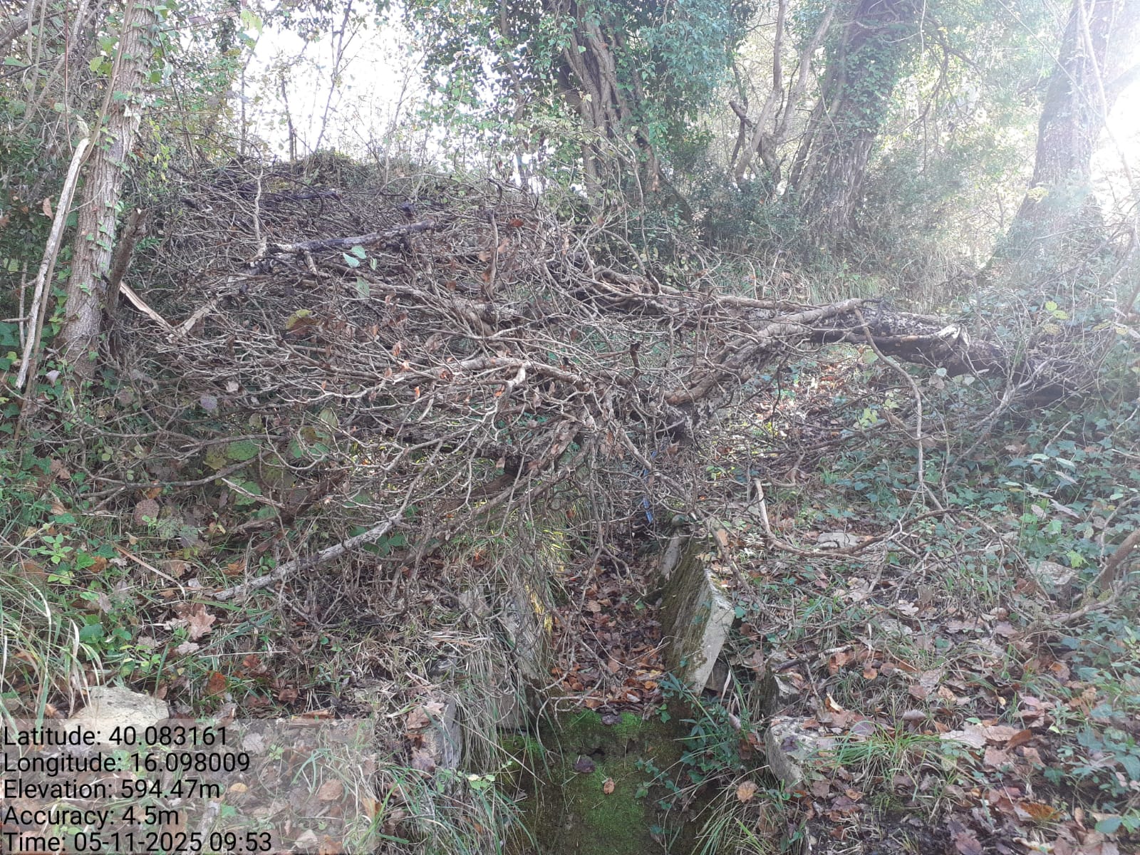 Galleria Fotografica Immagine