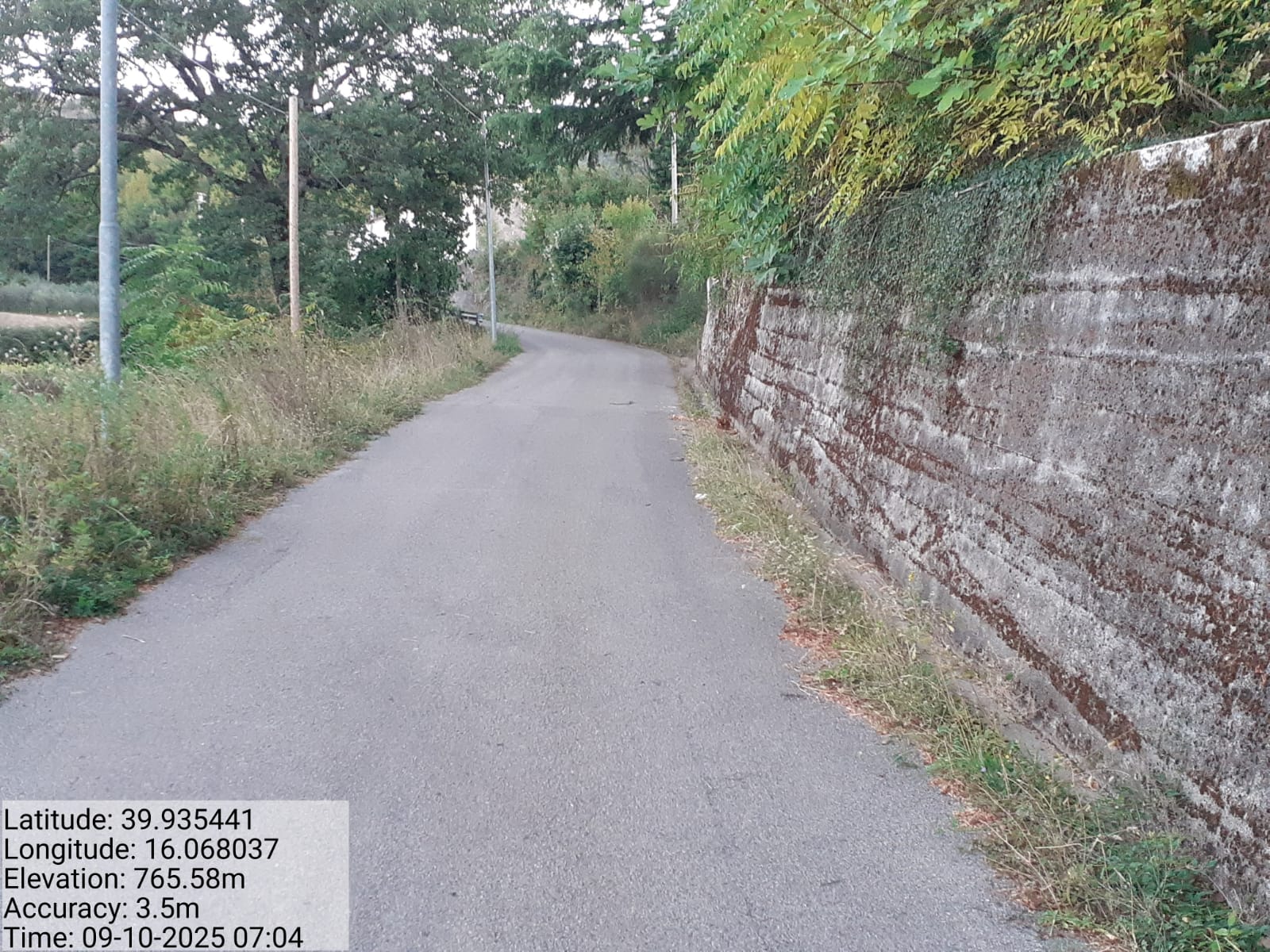 Galleria Fotografica Immagine