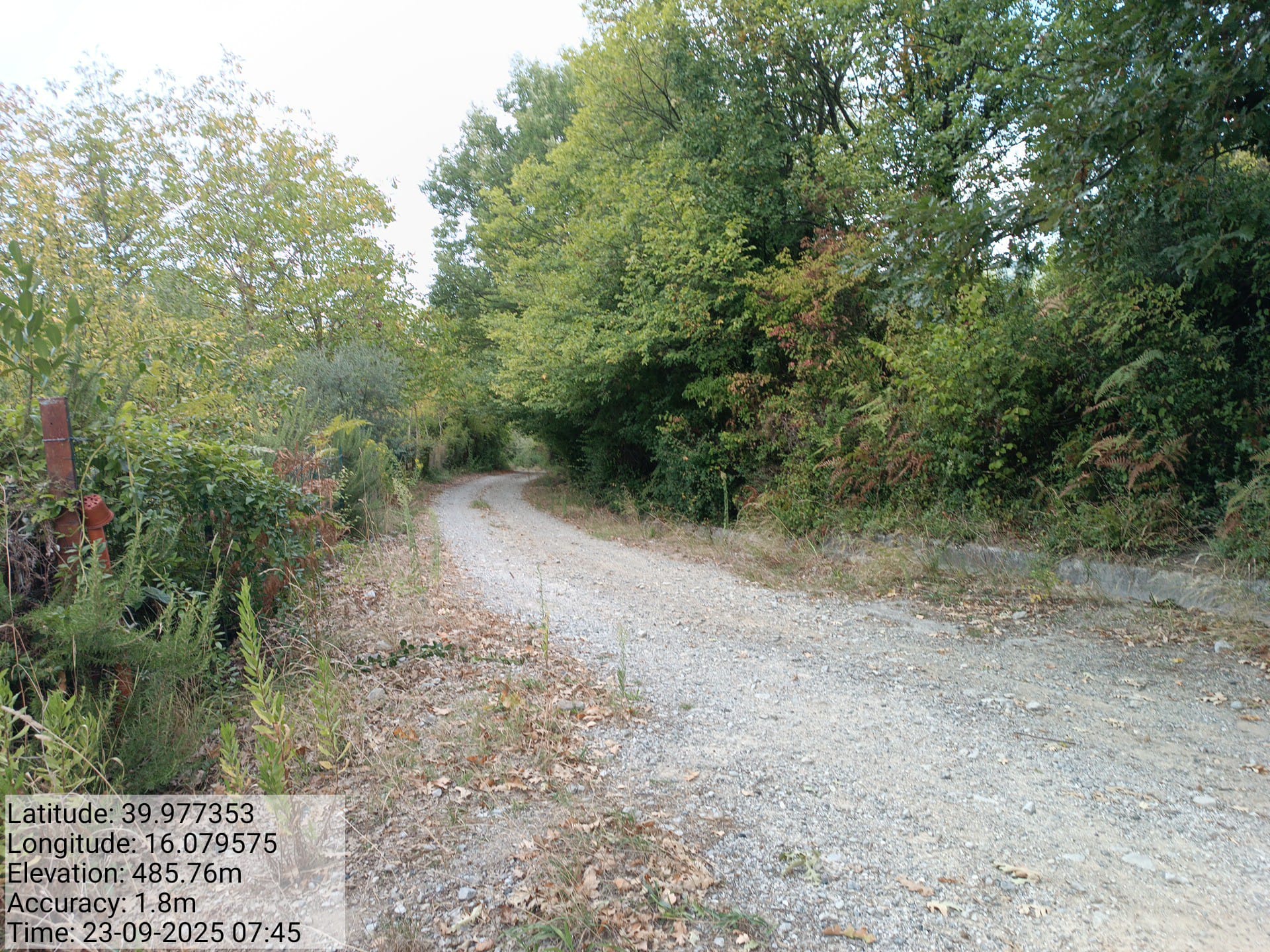 Galleria Fotografica Immagine