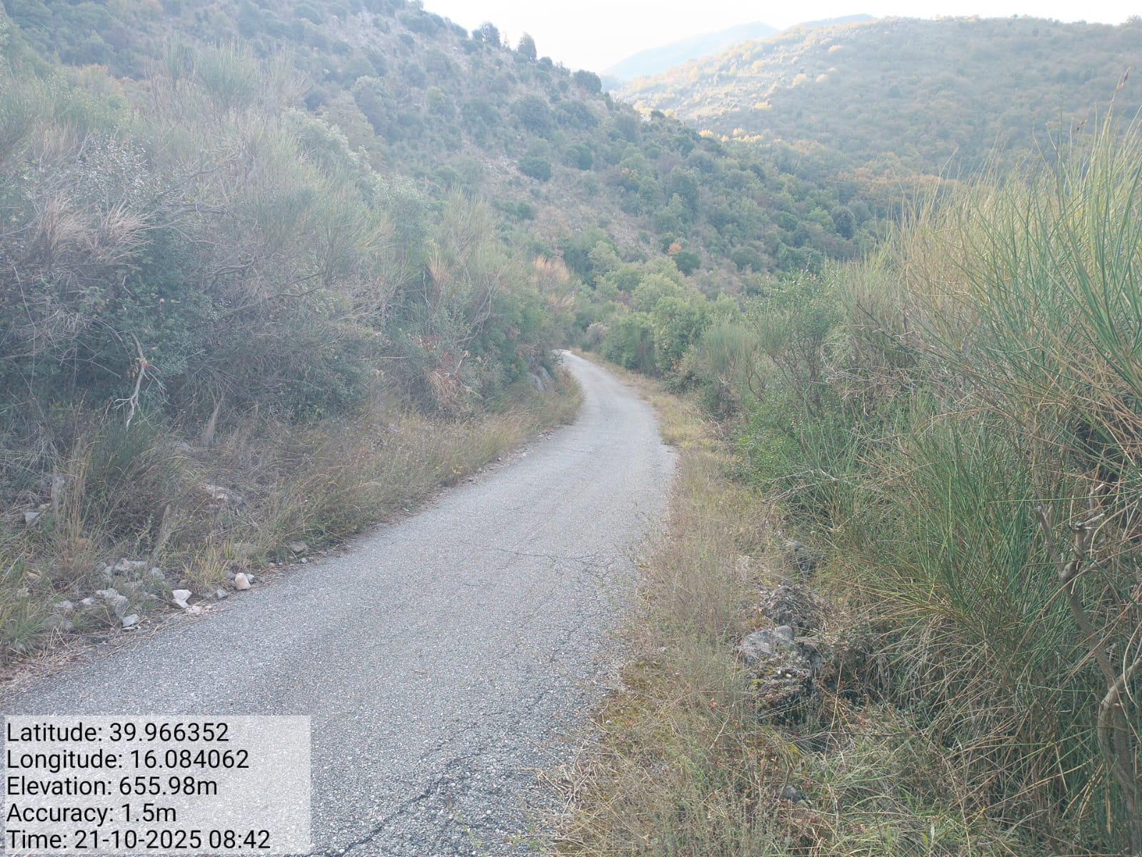 Galleria Fotografica Immagine