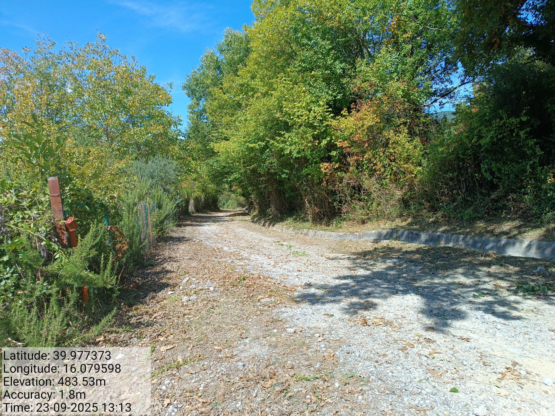 Galleria Fotografica Immagine