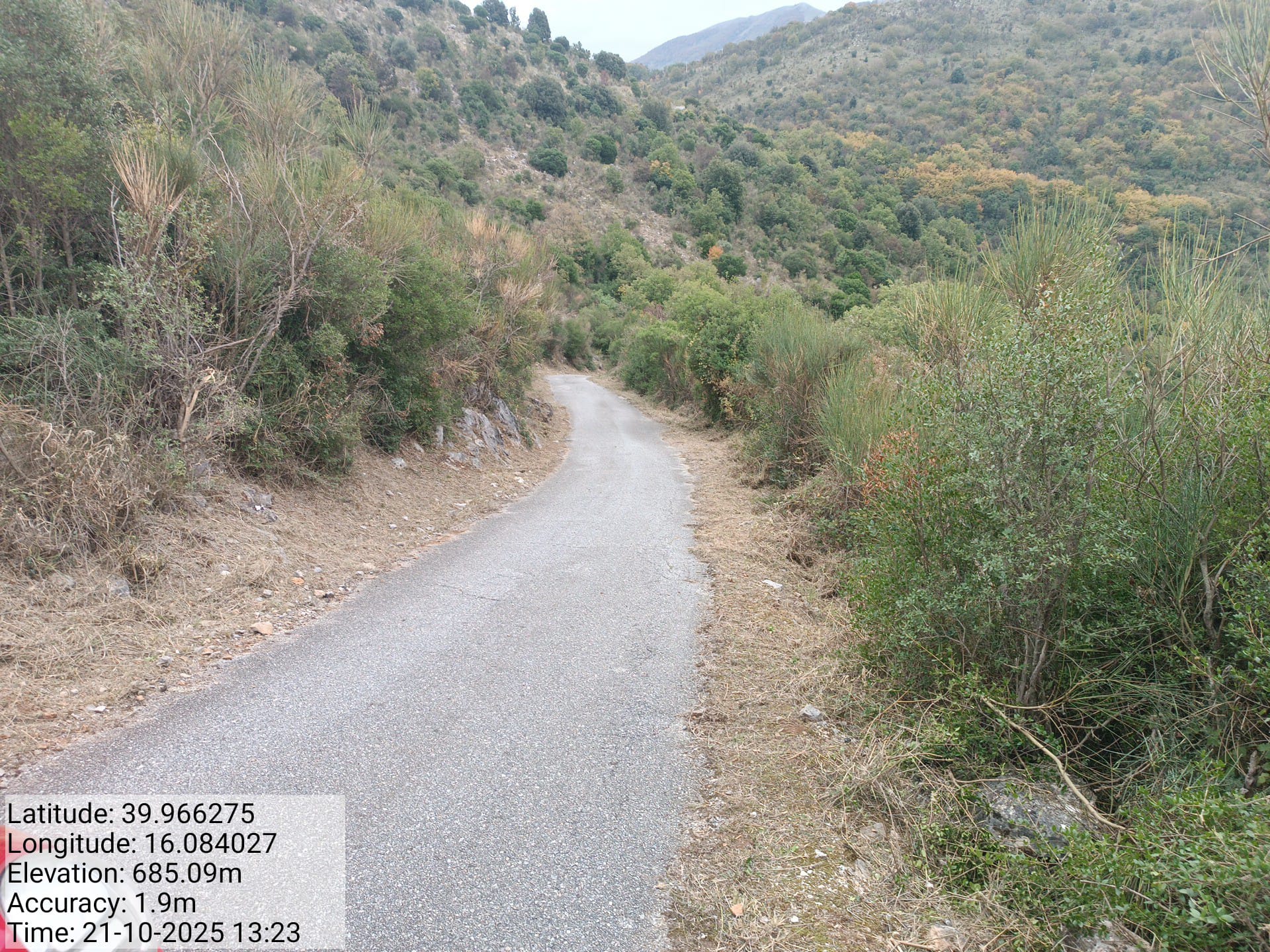 Galleria Fotografica Immagine