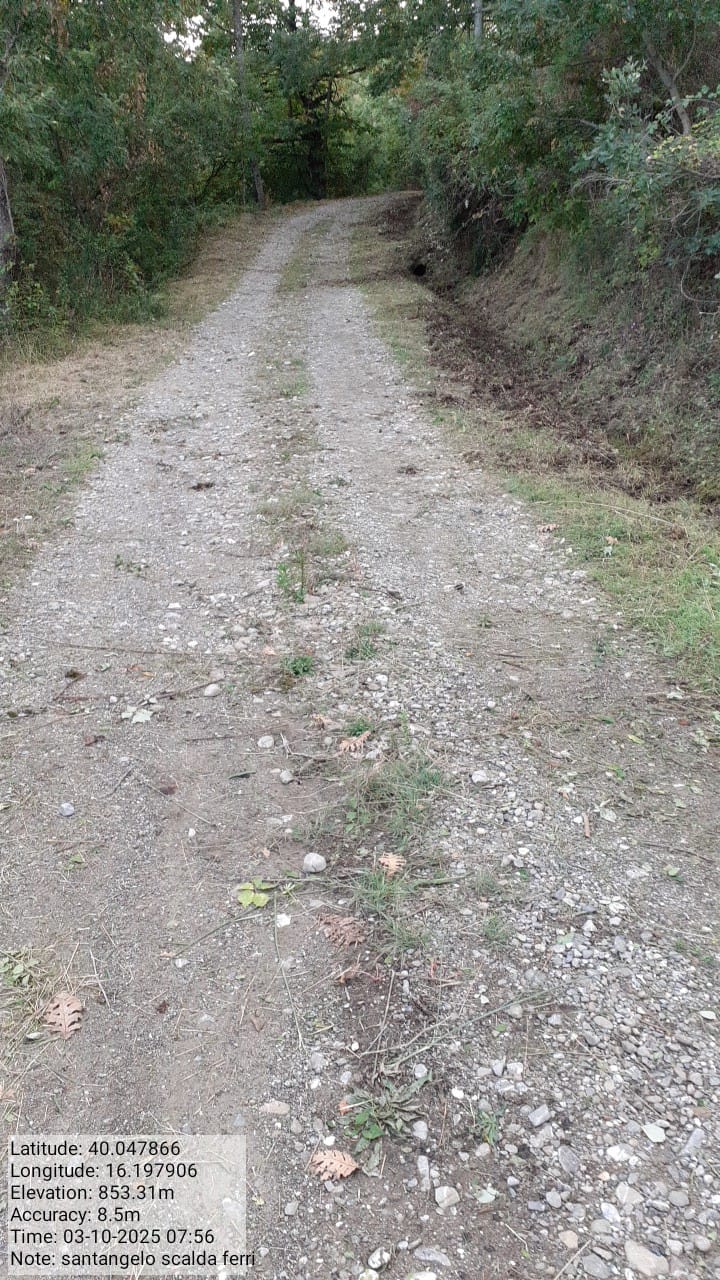 Galleria Fotografica Immagine